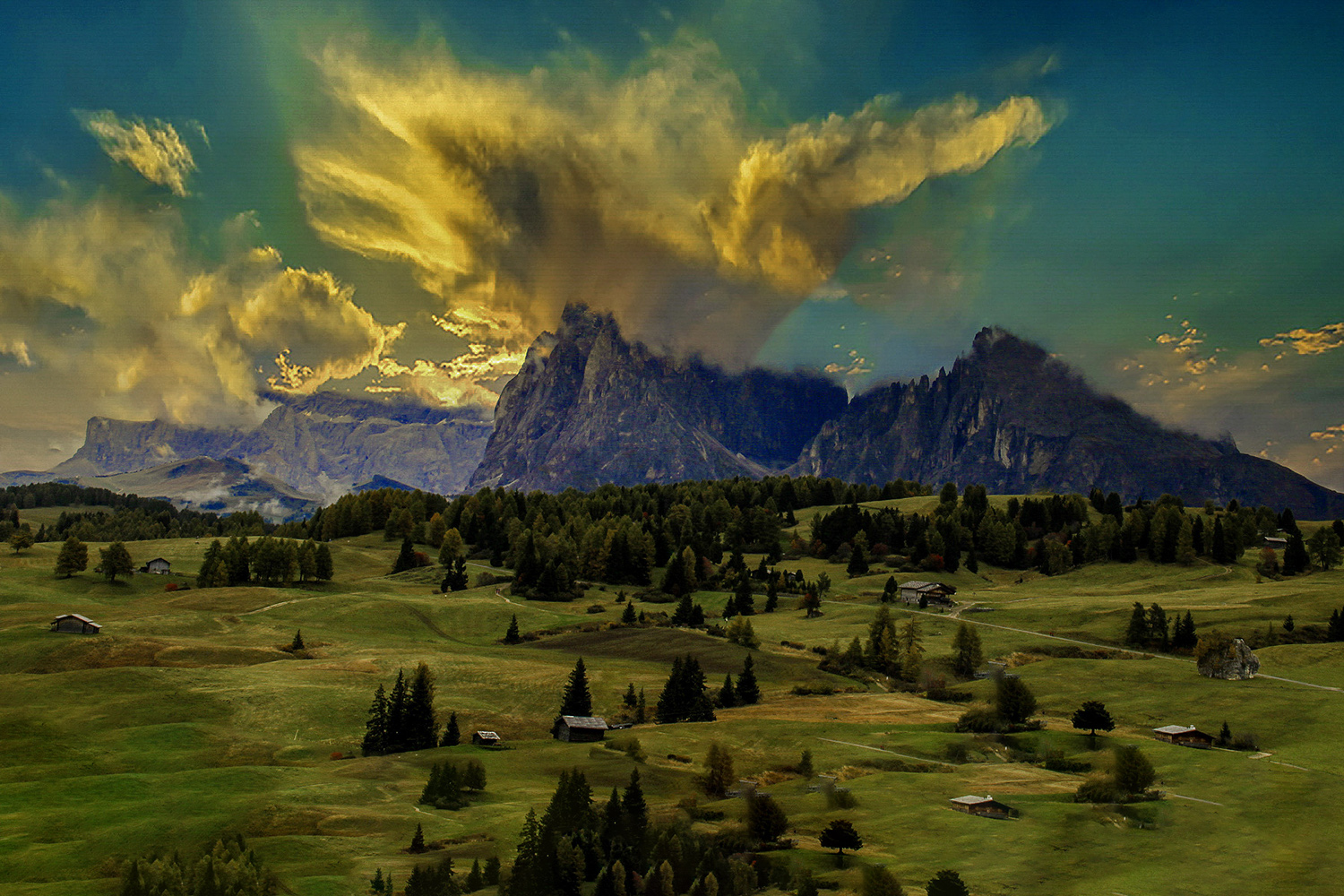 PHOTO BY  | Can |  | ISO- |  |  |  | EV=0 | ● WIDTH:  HEIGHT: