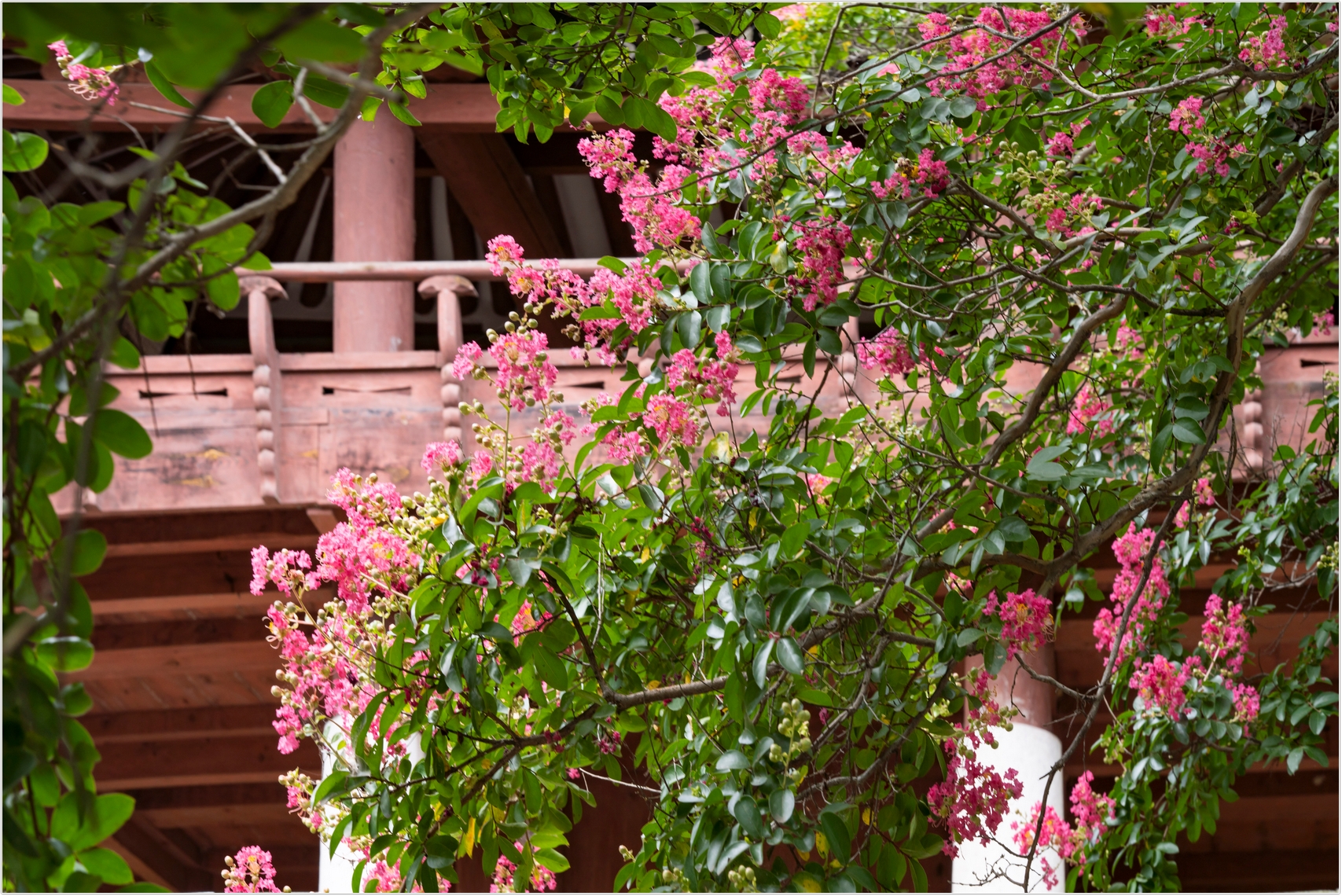 PHOTO BY  | ILCE-7RM4 | 2024:07:22 11:59:43 | ISO-100 | 1/80 sec | f 10 | 64 mm | EV=0 | ● WIDTH:1707 pixels  HEIGHT:1140 pixels