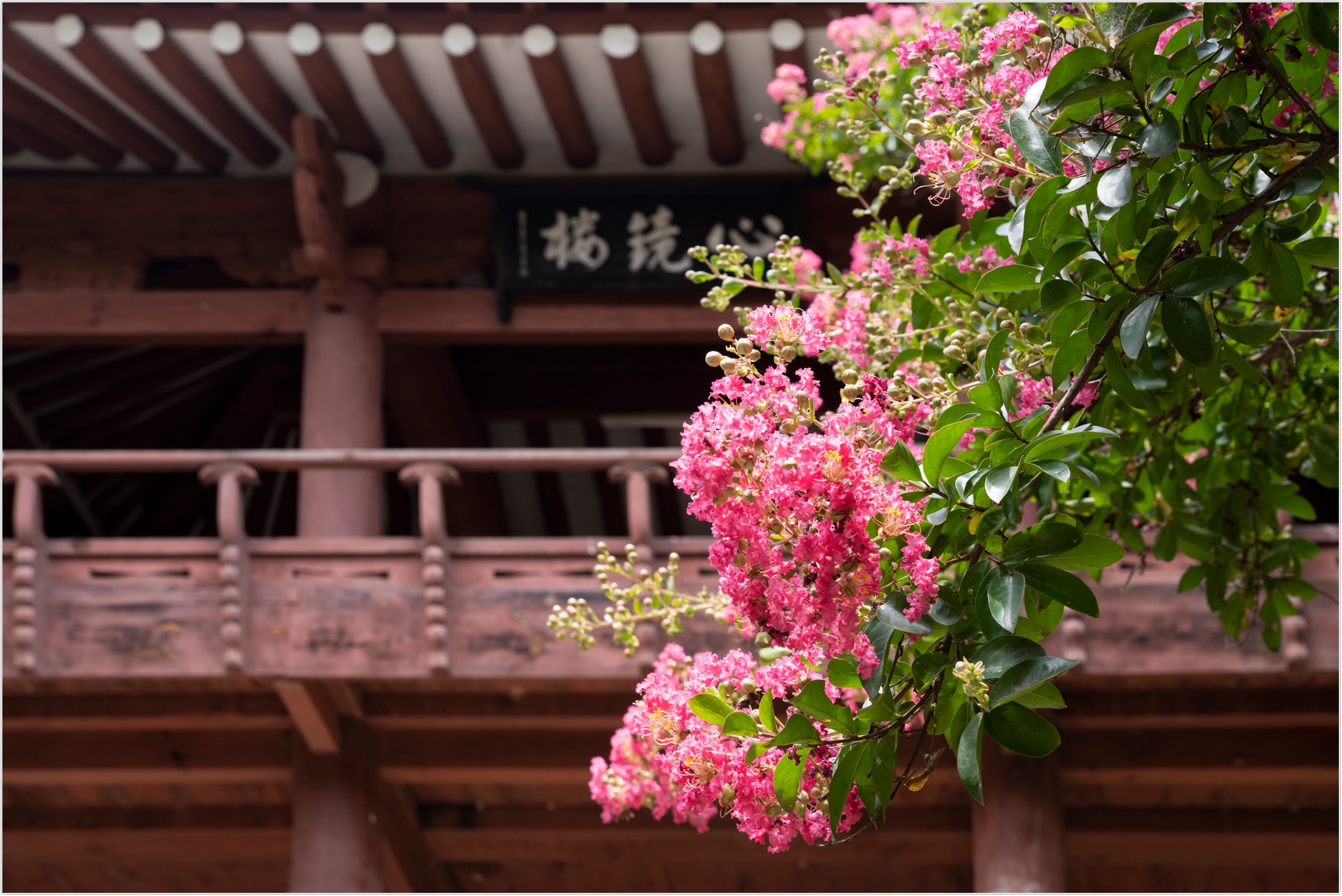 PHOTO BY  | ILCE-7RM4 | 2024:07:22 12:00:13 | ISO-100 | 1/80 sec | f 10 | 54 mm | EV=0 | ● WIDTH:1707 pixels  HEIGHT:1140 pixels