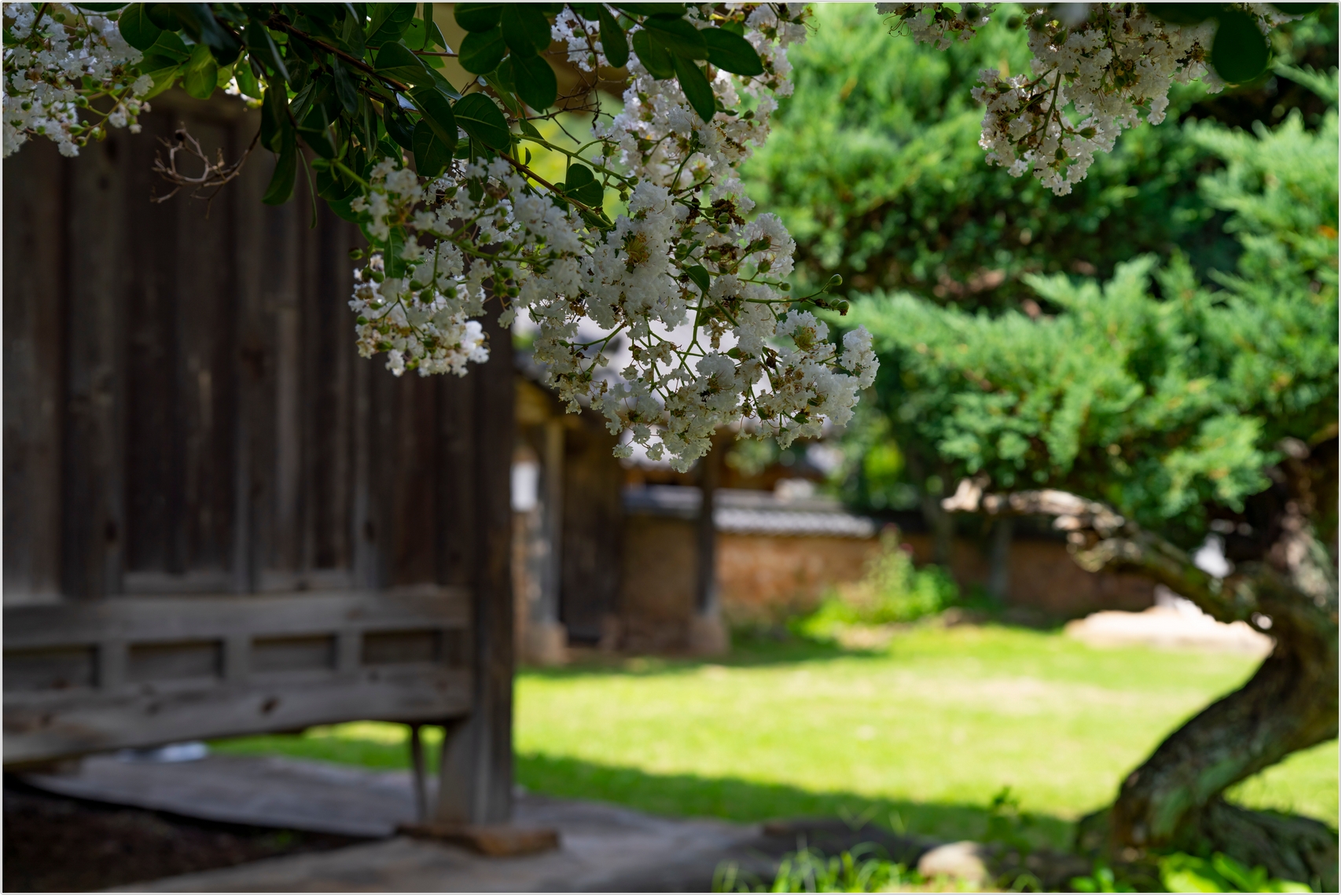 PHOTO BY  | ILCE-7RM4 | 2024:07:22 10:23:01 | ISO-100 | 1/640 sec | f 4.5 | 57 mm | EV=0 | ● WIDTH:1707 pixels  HEIGHT:1140 pixels