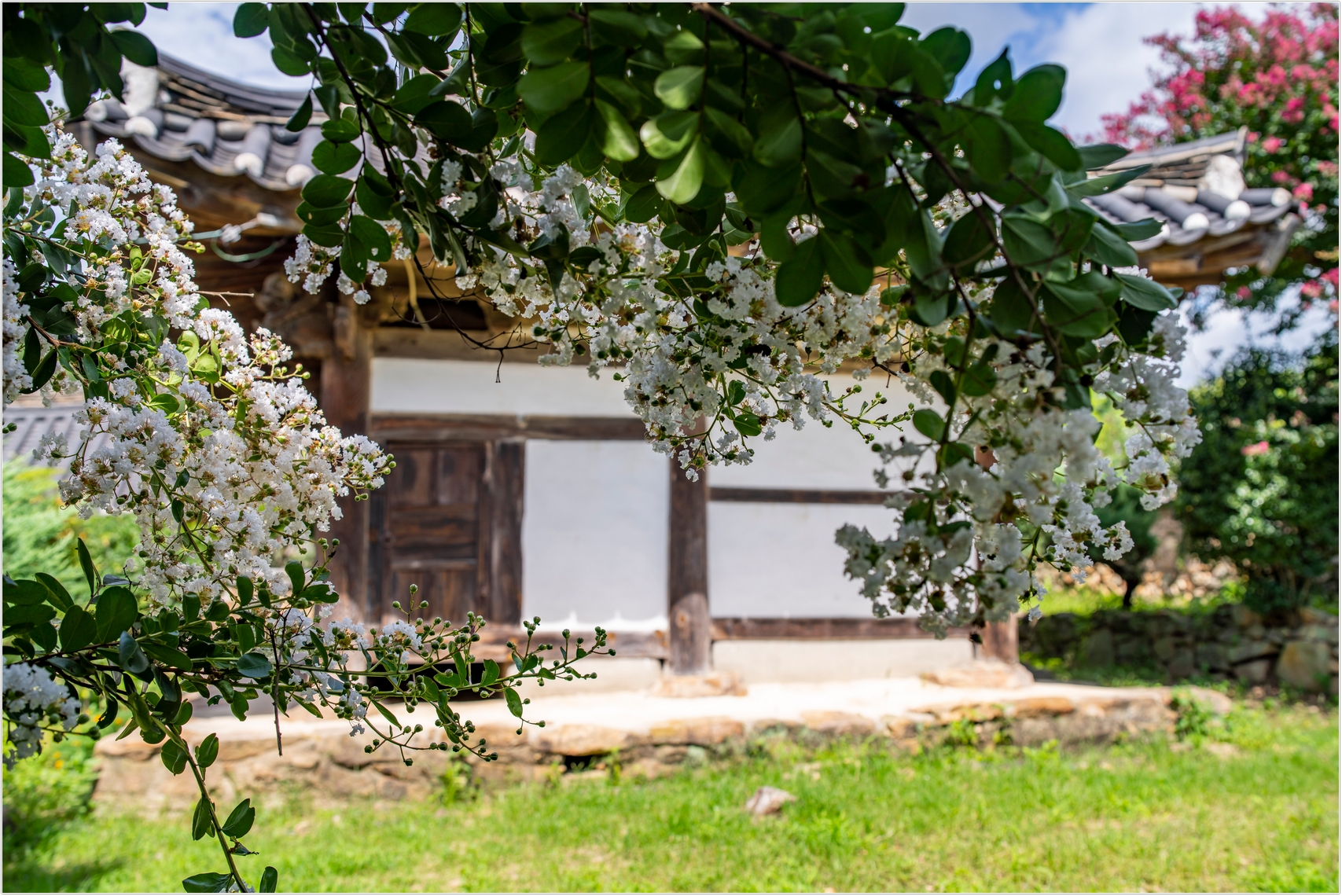 PHOTO BY  | ILCE-7RM4 | 2024:07:22 10:23:20 | ISO-100 | 1/640 sec | f 4.5 | 35 mm | EV=0 | ● WIDTH:1707 pixels  HEIGHT:1140 pixels