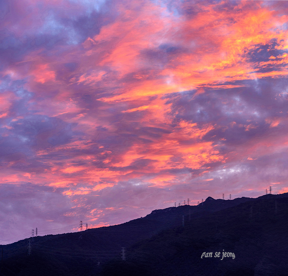 PHOTO BY jps | Canon EOS R6 | 2024:09:12 06:04:49 | ISO-400 | 1/100 sec | f 5.6 | 70 mm | EV=-0.3 | ● WIDTH:1000 pixels  HEIGHT:961 pixels