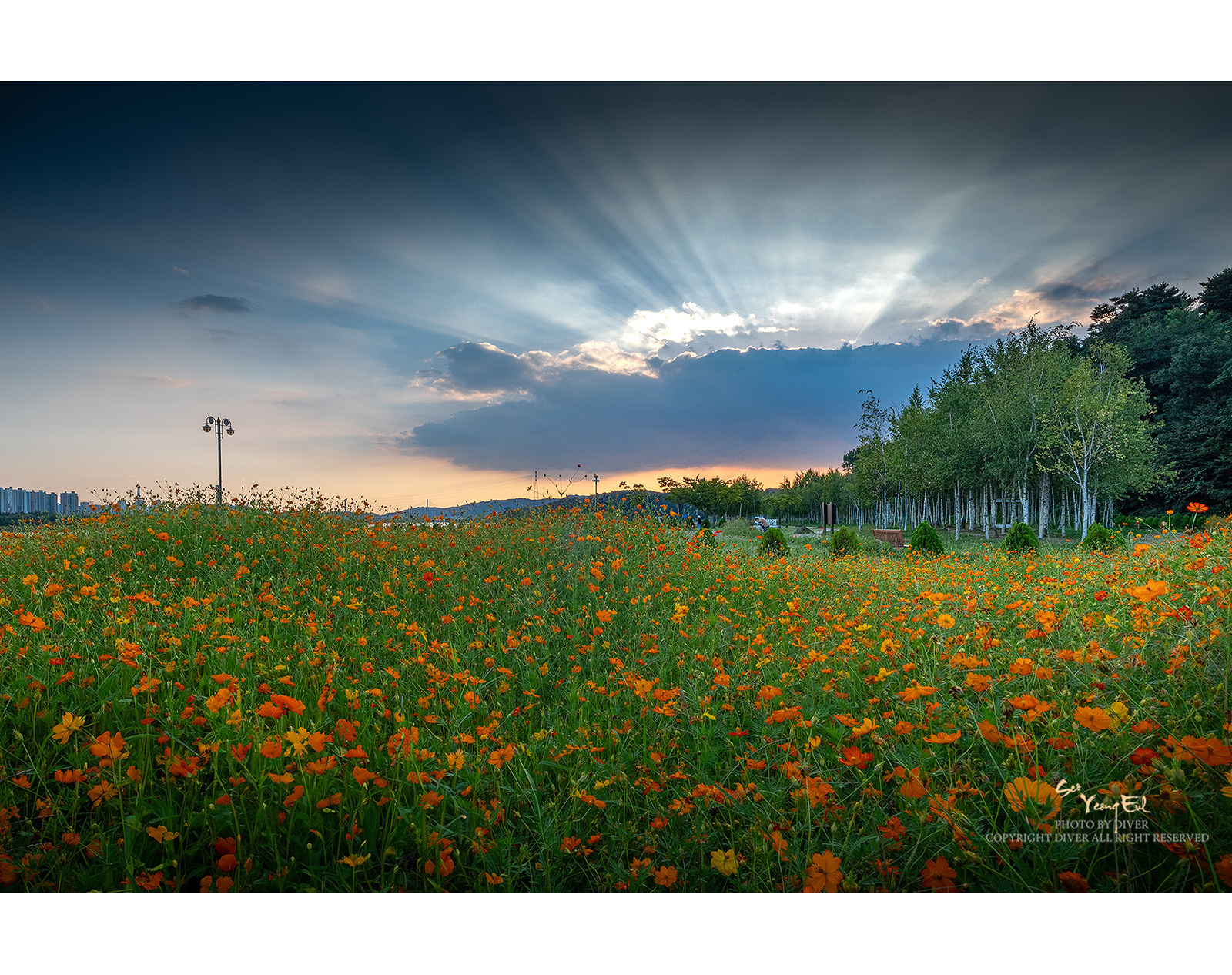 PHOTO BY  | GFX50S II | 2024:09:04 18:13:40 | ISO-200 | 1/30 sec | f 32 | 23 mm | EV=0 | ● WIDTH:1600 pixels  HEIGHT:1266 pixels