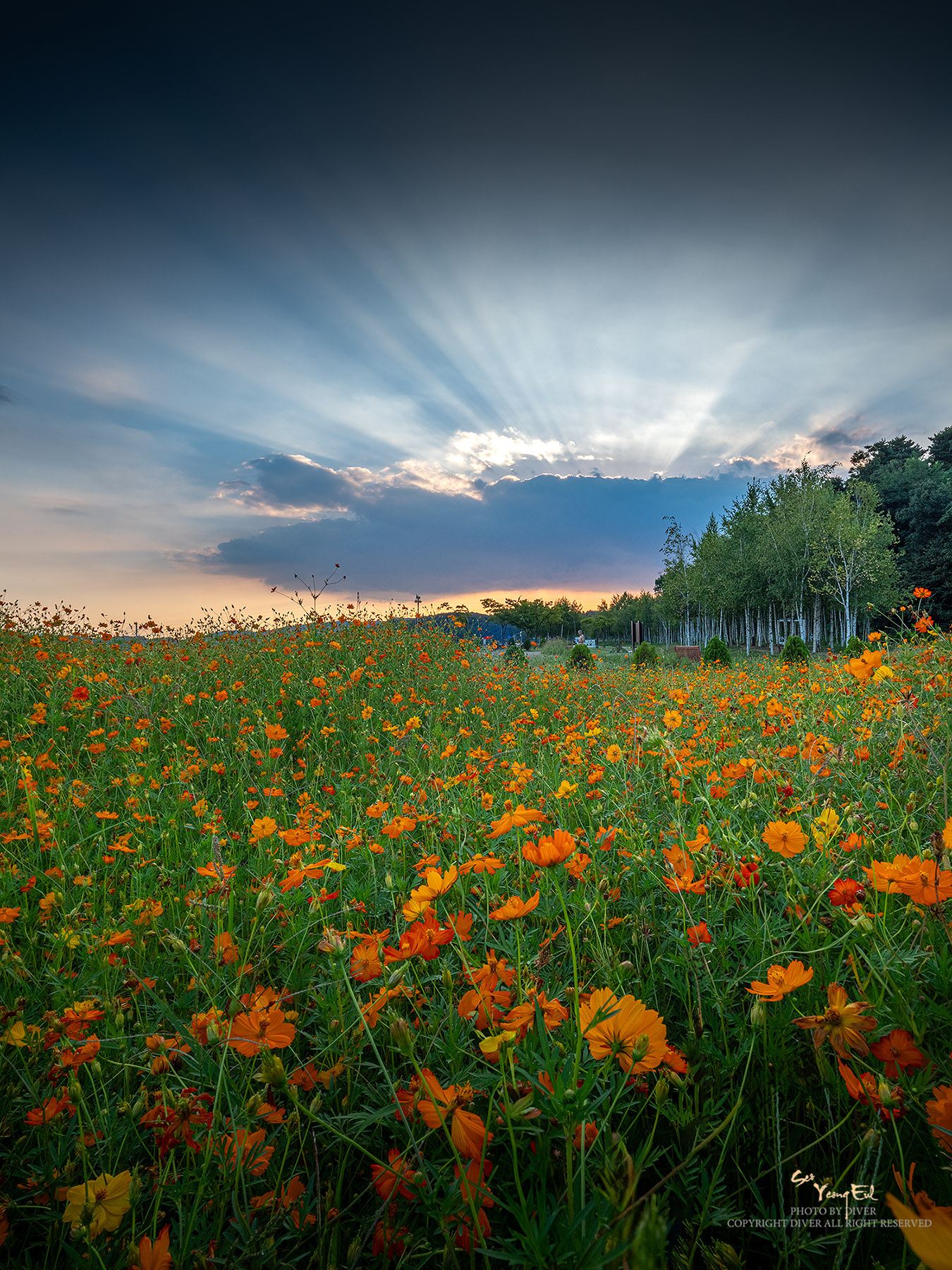 PHOTO BY  | GFX50S II | 2024:09:04 18:13:53 | ISO-200 | 1/30 sec | f 32 | 23 mm | EV=0 | ● WIDTH:1350 pixels  HEIGHT:1800 pixels