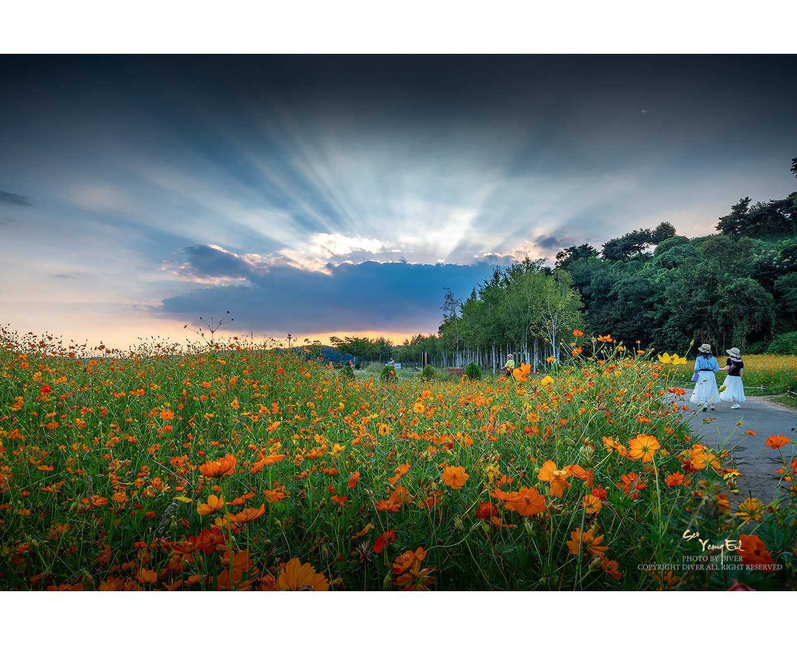 PHOTO BY  | GFX50S II | 2024:09:04 18:14:10 | ISO-200 | 1/30 sec | f 32 | 23 mm | EV=0 | ● WIDTH:1600 pixels  HEIGHT:1294 pixels