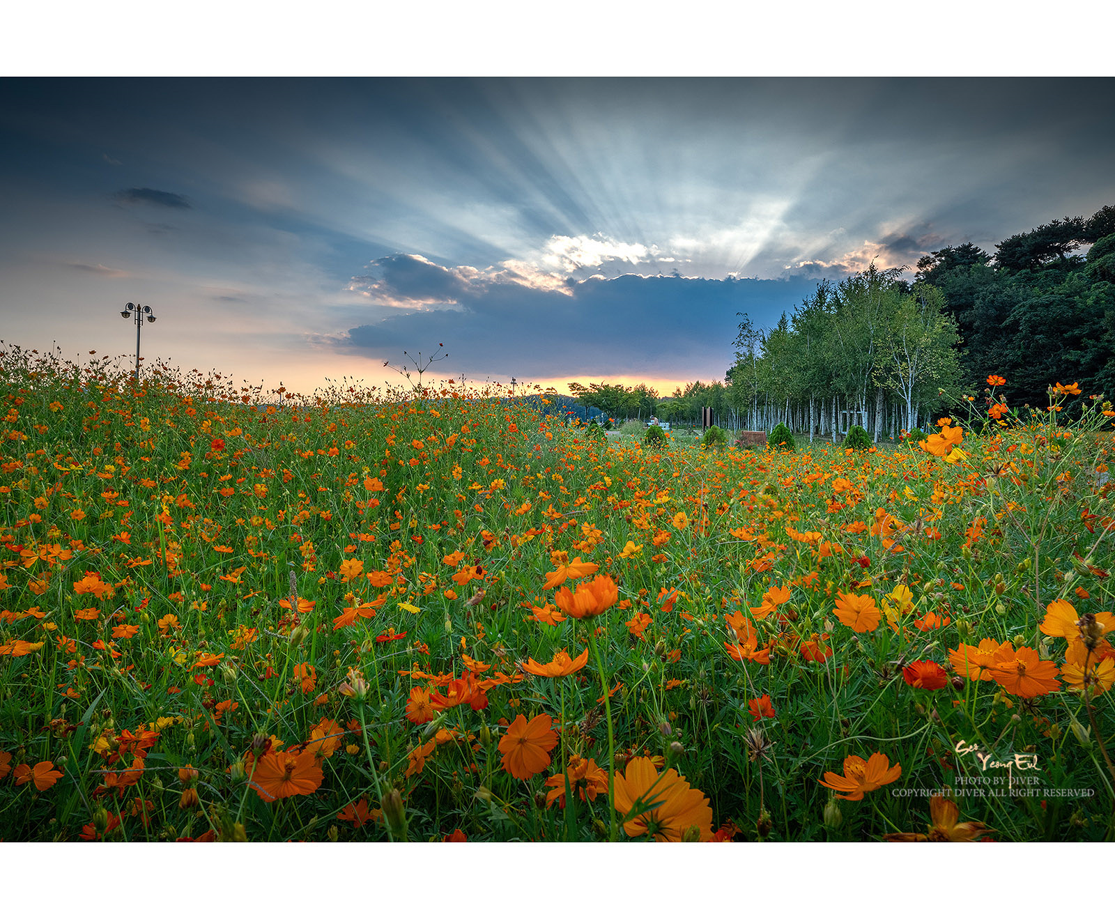 PHOTO BY  | GFX50S II | 2024:09:04 18:13:58 | ISO-200 | 1/30 sec | f 32 | 23 mm | EV=0 | ● WIDTH:1600 pixels  HEIGHT:1319 pixels