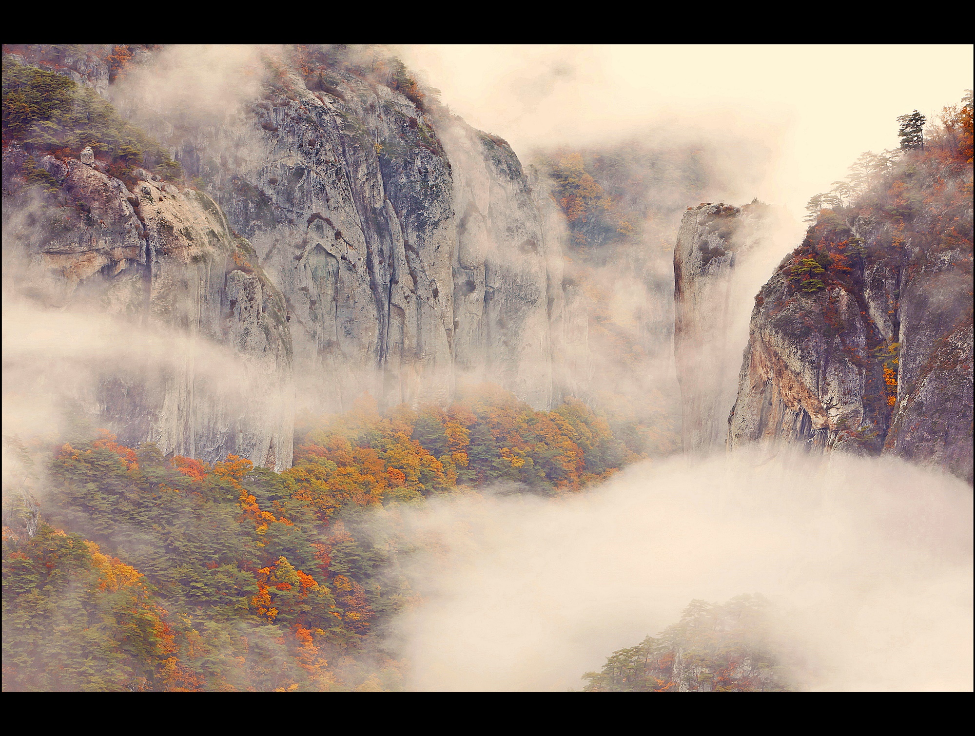 PHOTO BY  | Canon EOS 5D Mark II | 2019:11:04 07:37:11 | ISO-100 | 3/10 sec | f 11 | 125 mm | EV=1 | ● WIDTH:5616 pixels  HEIGHT:3744 pixels