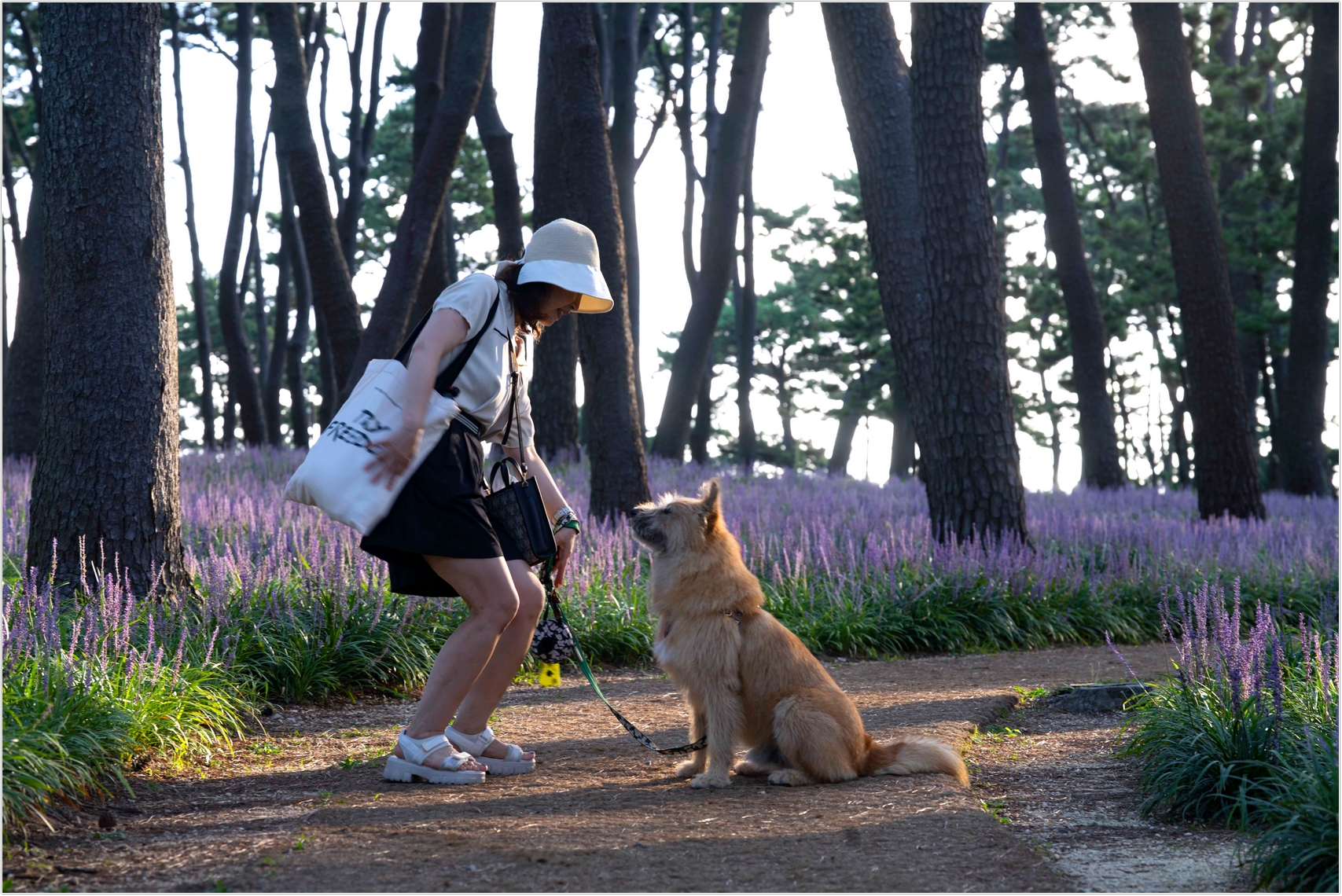 PHOTO BY  | ILCE-7RM4 | 2024:08:18 06:58:58 | ISO-100 | 1/60 sec | f 8 | 114 mm | EV=0 | ● WIDTH:1707 pixels  HEIGHT:1140 pixels