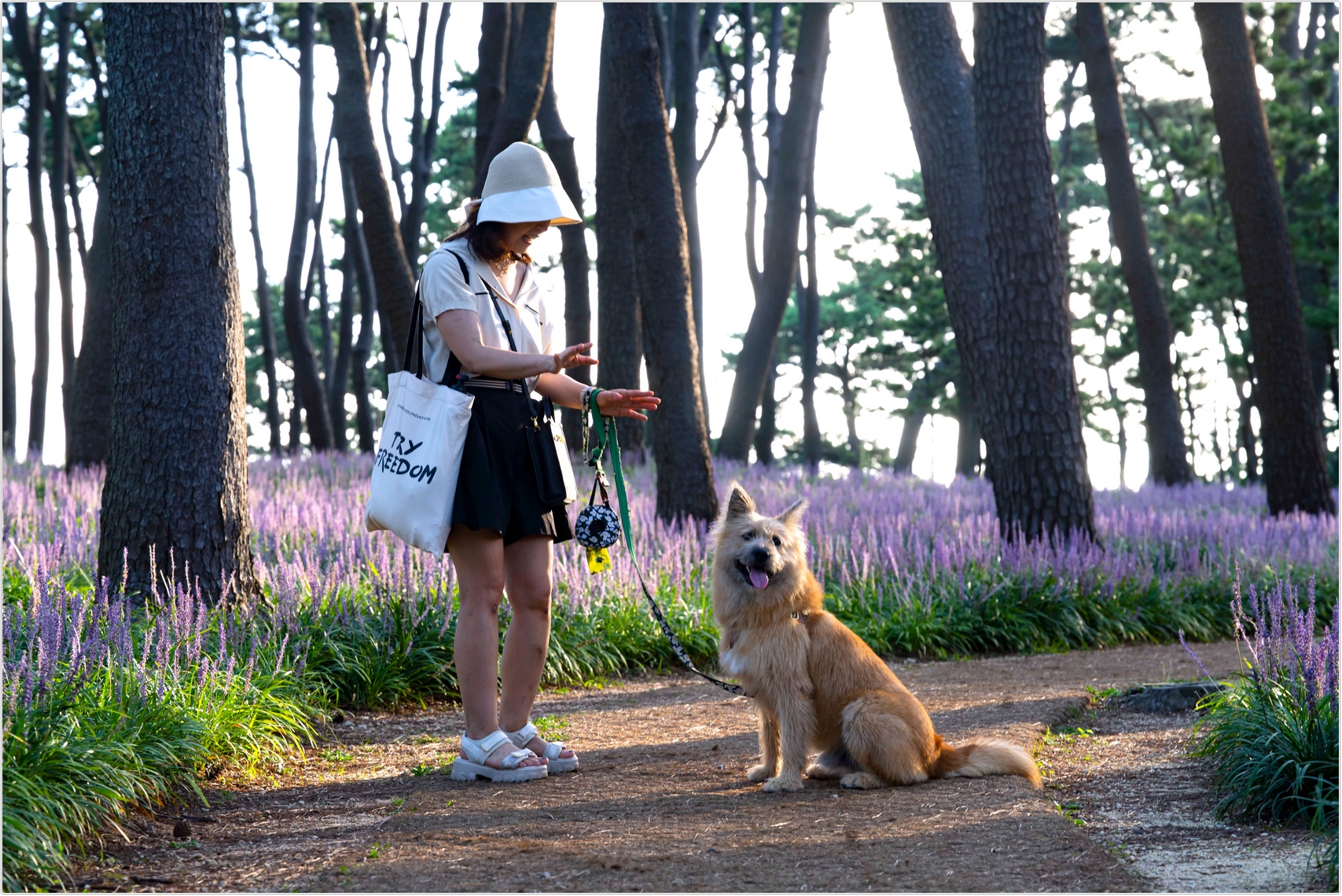 PHOTO BY  | ILCE-7RM4 | 2024:08:18 06:58:54 | ISO-100 | 1/60 sec | f 8 | 114 mm | EV=0 | ● WIDTH:1707 pixels  HEIGHT:1140 pixels