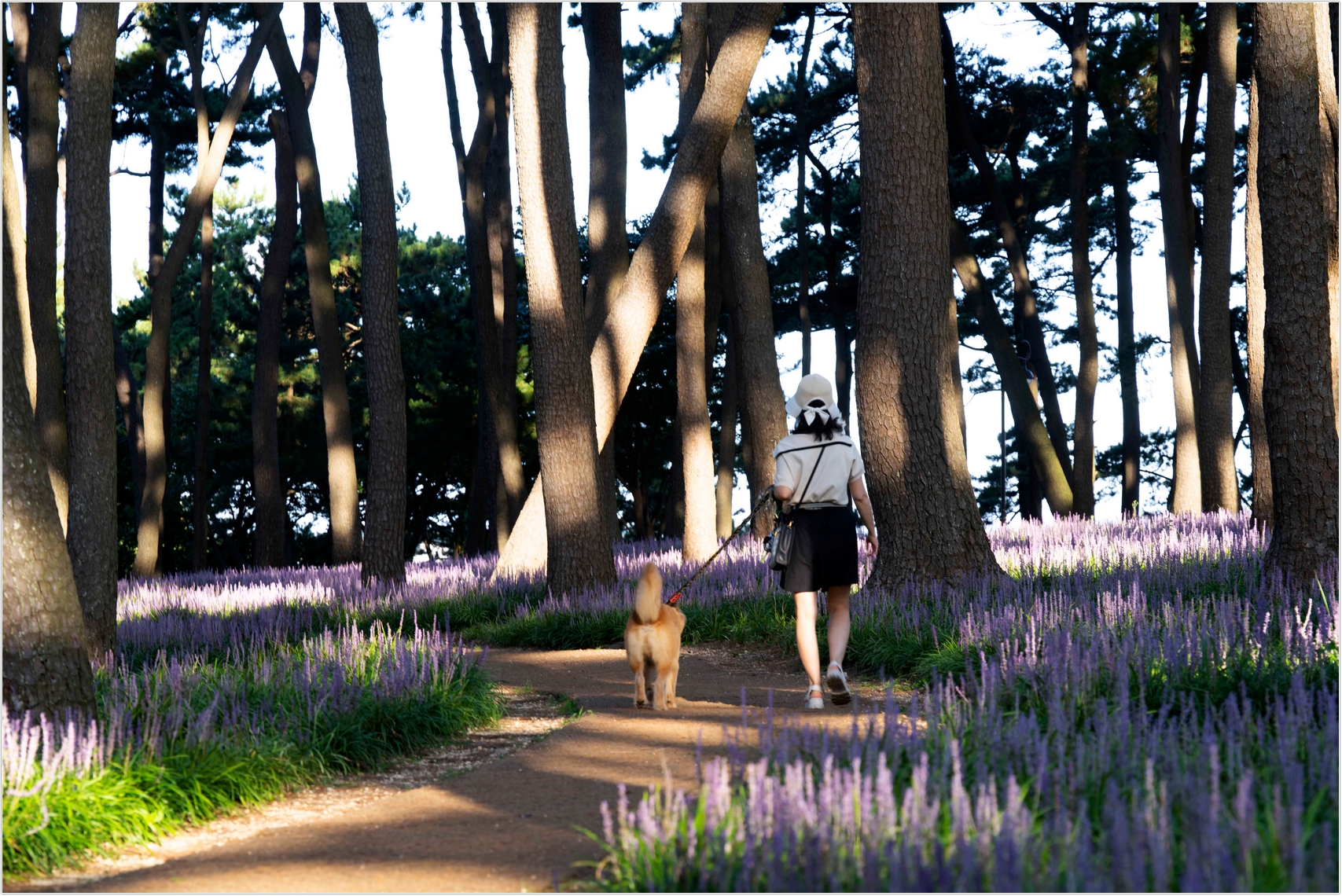 PHOTO BY  | ILCE-7RM4 | 2024:08:18 07:04:22 | ISO-100 | 1/40 sec | f 8 | 133 mm | EV=0 | ● WIDTH:1707 pixels  HEIGHT:1140 pixels