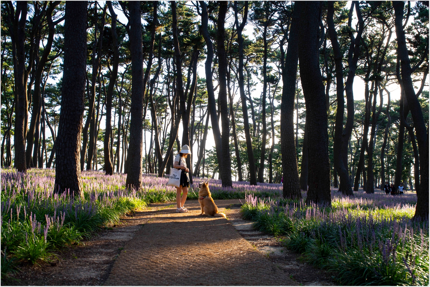 PHOTO BY  | ILCE-7RM4 | 2024:08:18 06:57:51 | ISO-100 | 1/60 sec | f 8 | 35 mm | EV=0 | ● WIDTH:1707 pixels  HEIGHT:1140 pixels