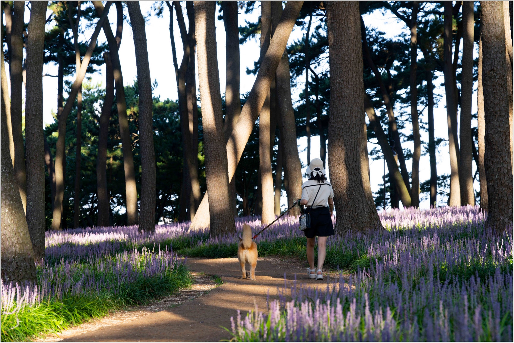 PHOTO BY  | ILCE-7RM4 | 2024:08:18 07:04:22 | ISO-100 | 1/40 sec | f 8 | 133 mm | EV=0 | ● WIDTH:1707 pixels  HEIGHT:1140 pixels