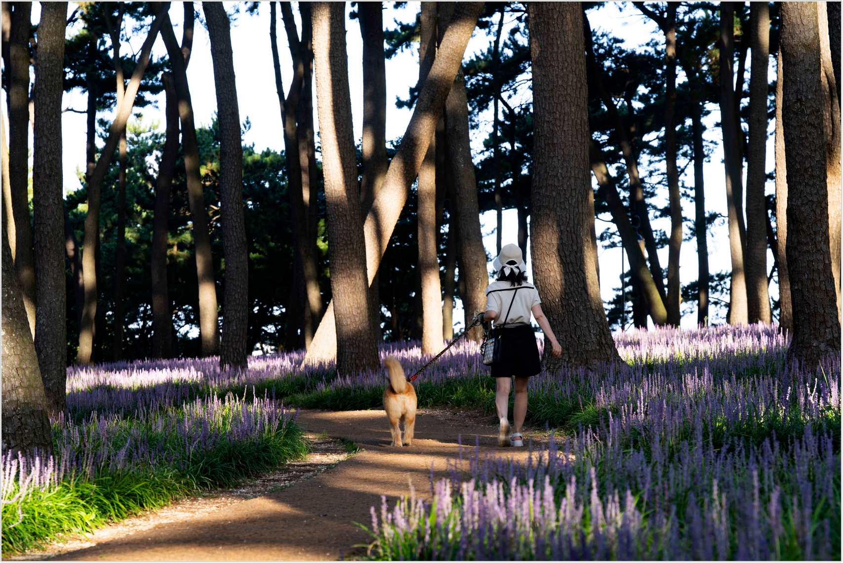 PHOTO BY  | ILCE-7RM4 | 2024:08:18 07:04:22 | ISO-100 | 1/40 sec | f 8 | 133 mm | EV=0 | ● WIDTH:1707 pixels  HEIGHT:1140 pixels