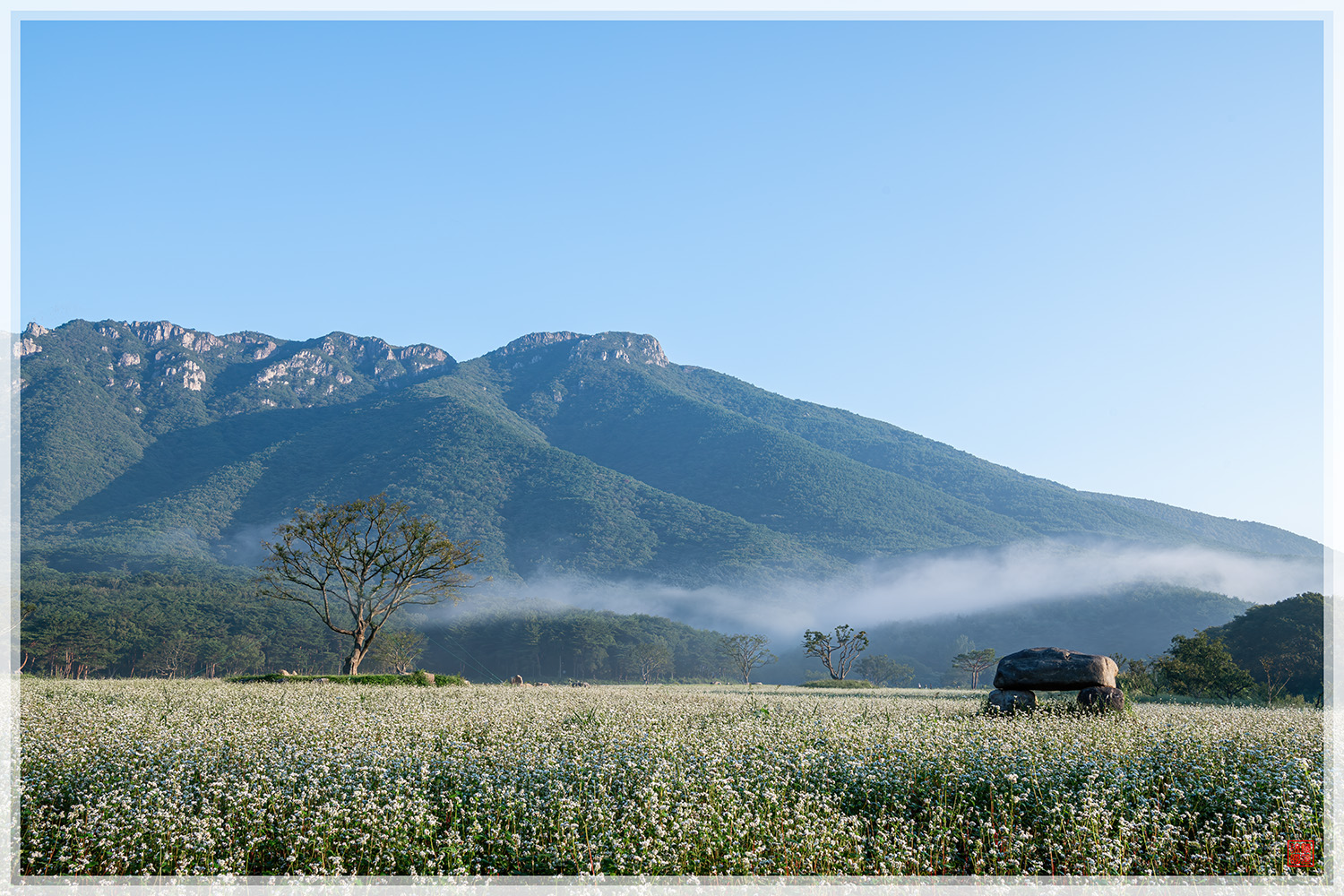 PHOTO BY  | NIKON D850 | 2024:09:14 06:36:16 | ISO-200 | 1/60 sec | f 13 | 36 mm | EV=-0.3 | ● WIDTH:1500 pixels  HEIGHT:1000 pixels