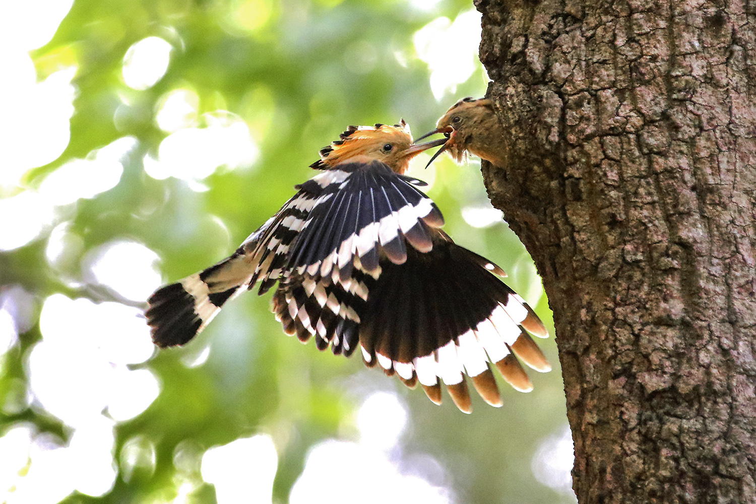 PHOTO BY  | CanonCanon |  | ISO- |  |  |  | EV=0 | ● WIDTH:  HEIGHT: