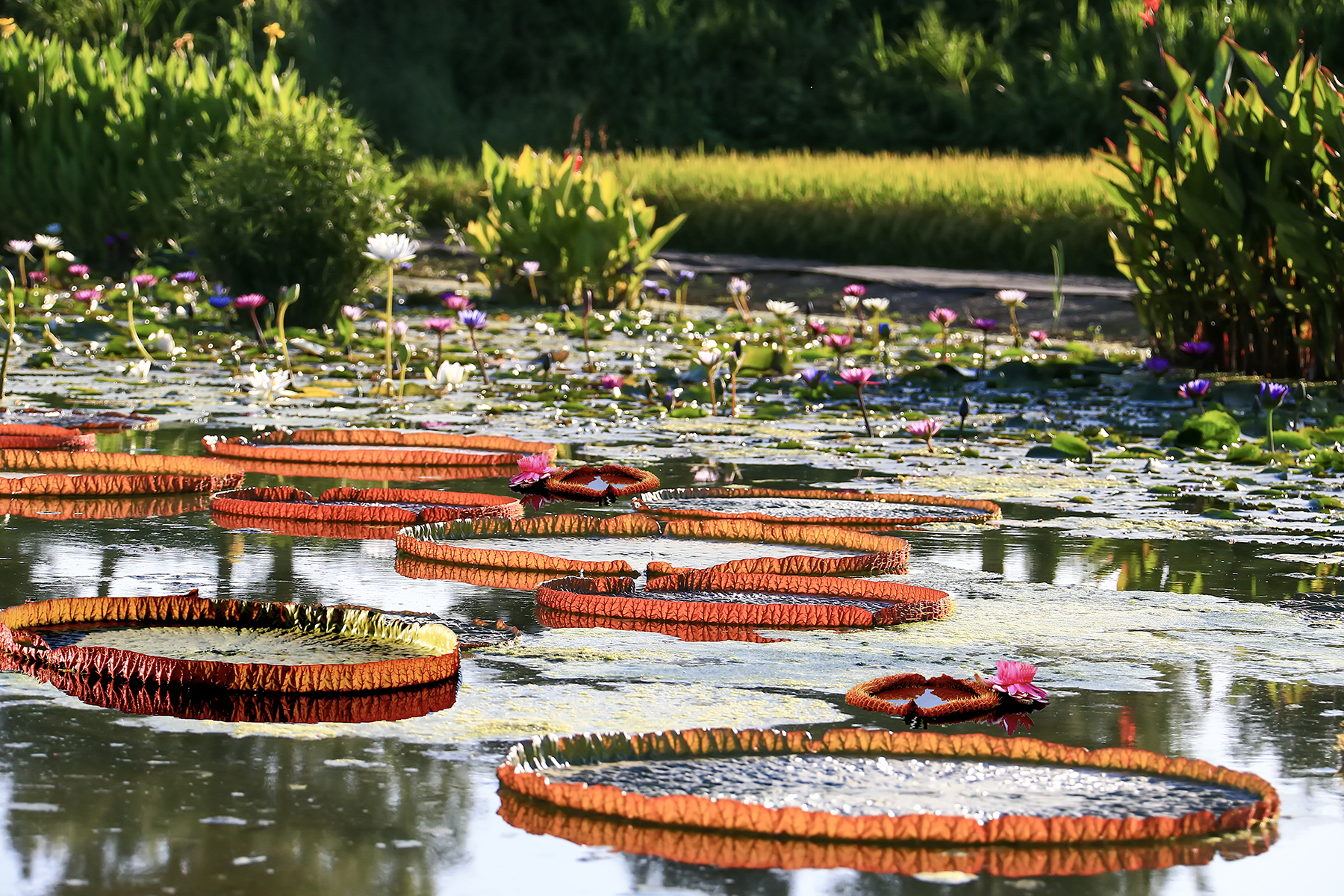 PHOTO BY ChoiJunqSeop | Canon EOS-1D X Mark II | 2024:09:07 12:57:28 | ISO-800 | 1/8000 sec | f 6.3 | 200 mm | EV=0 | ● WIDTH:1800 pixels  HEIGHT:1200 pixels