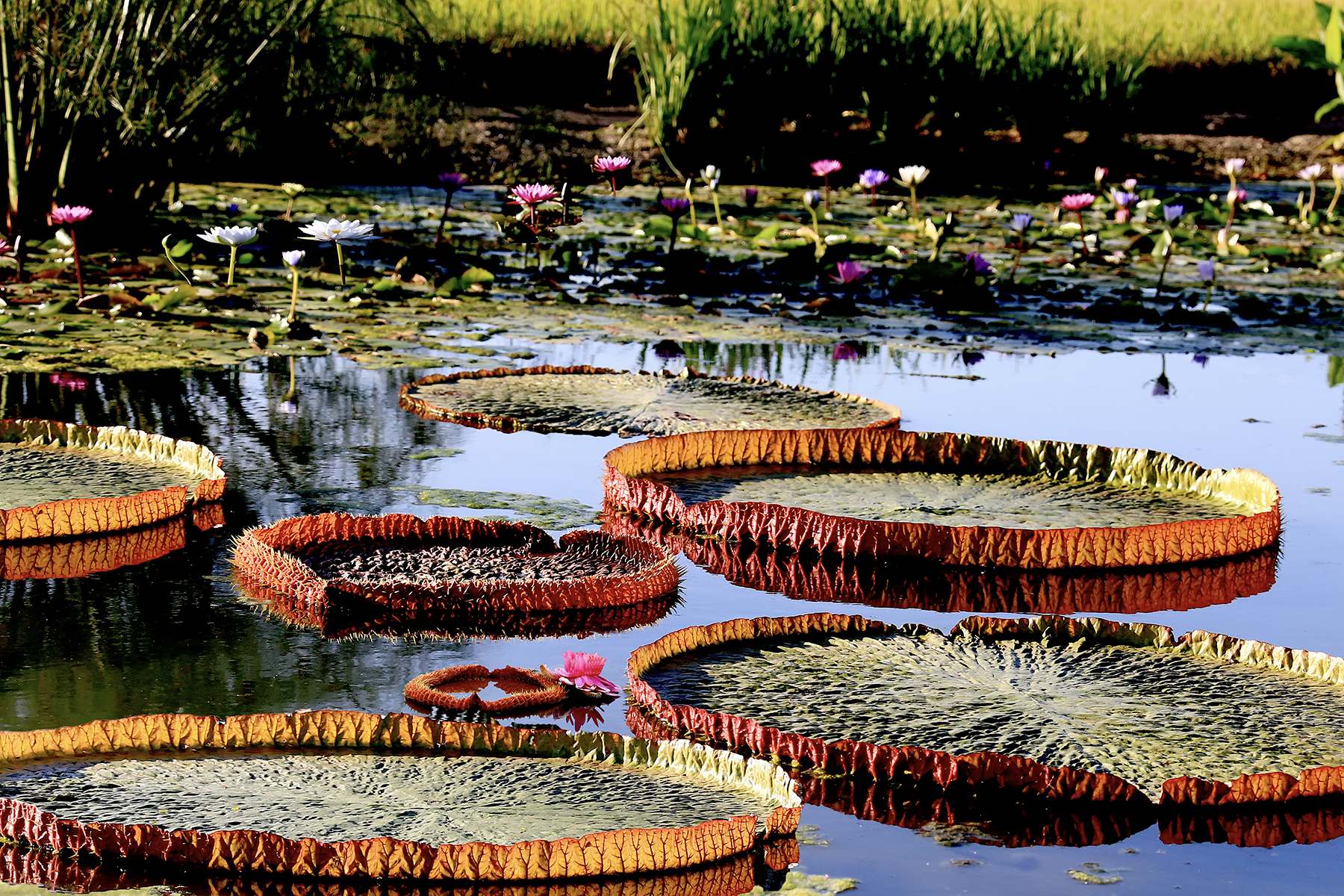 PHOTO BY ChoiJunqSeop | Canon EOS-1D X Mark II | 2024:09:07 12:57:28 | ISO-800 | 1/8000 sec | f 6.3 | 200 mm | EV=0 | ● WIDTH:1800 pixels  HEIGHT:1200 pixels