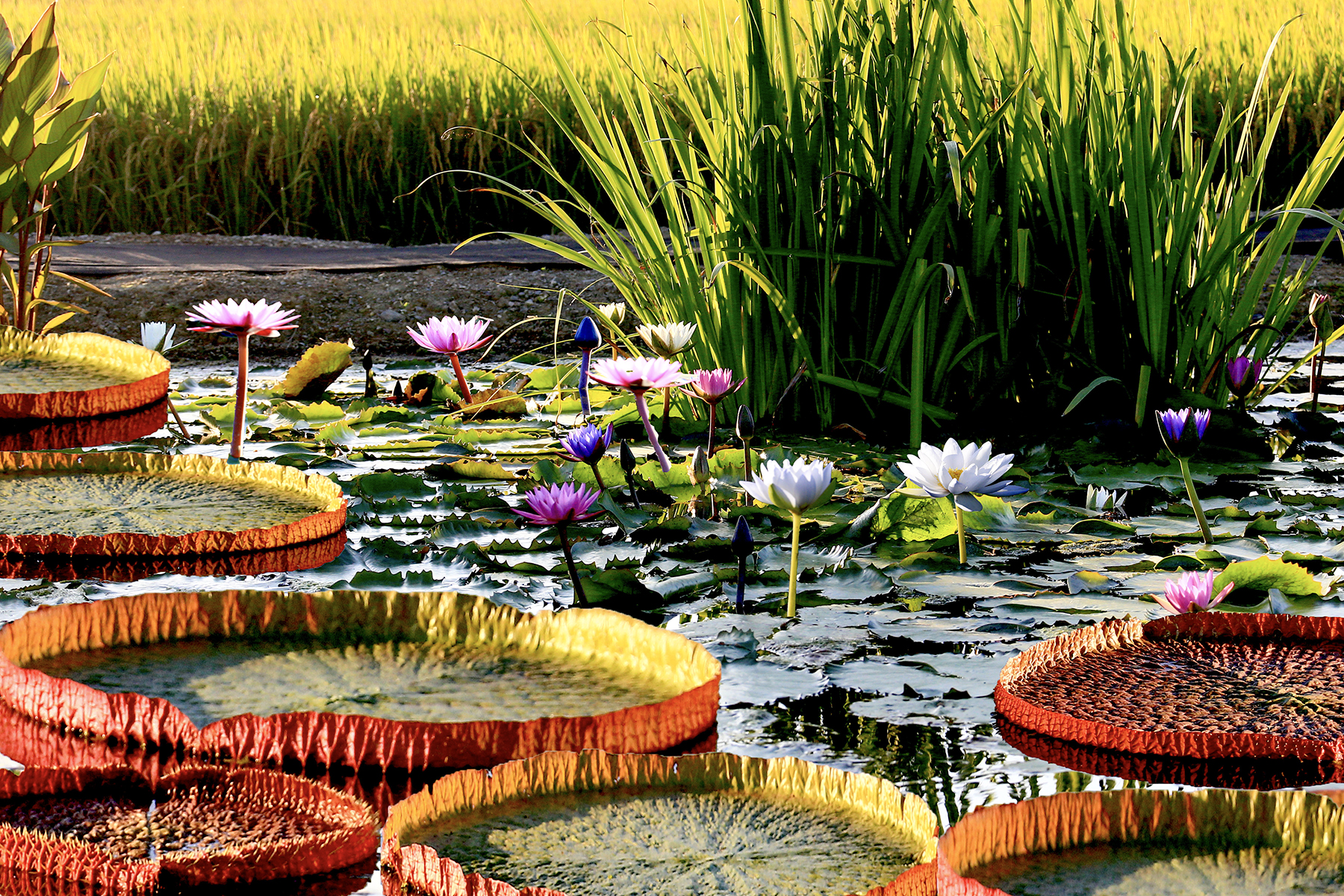 PHOTO BY ChoiJunqSeop | Canon EOS-1D X Mark II | 2024:09:07 12:57:33 | ISO-800 | 1/8000 sec | f 6.3 | 200 mm | EV=0 | ● WIDTH:1800 pixels  HEIGHT:1200 pixels