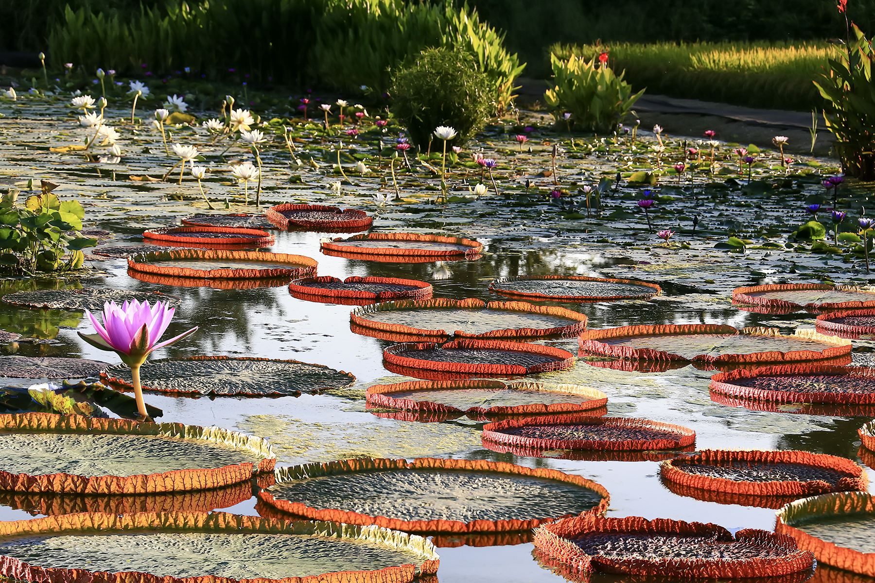 PHOTO BY ChoiJunqSeop | Canon EOS-1D X Mark II | 2024:09:07 12:57:33 | ISO-800 | 1/8000 sec | f 6.3 | 200 mm | EV=0 | ● WIDTH:1800 pixels  HEIGHT:1200 pixels