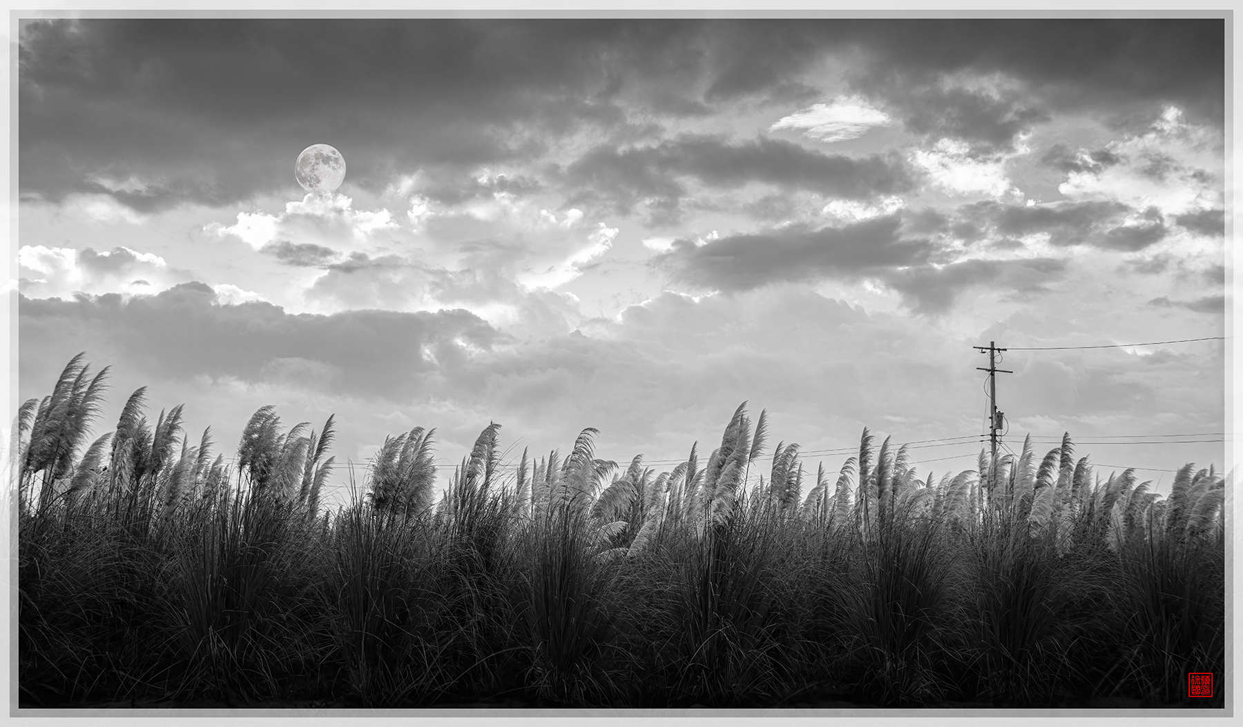 PHOTO BY  | NIKON D850 | 2024:09:15 06:23:29 | ISO-200 | 1/15 sec | f 11 | 38 mm | EV=-2.3 | ● WIDTH:1800 pixels  HEIGHT:1054 pixels