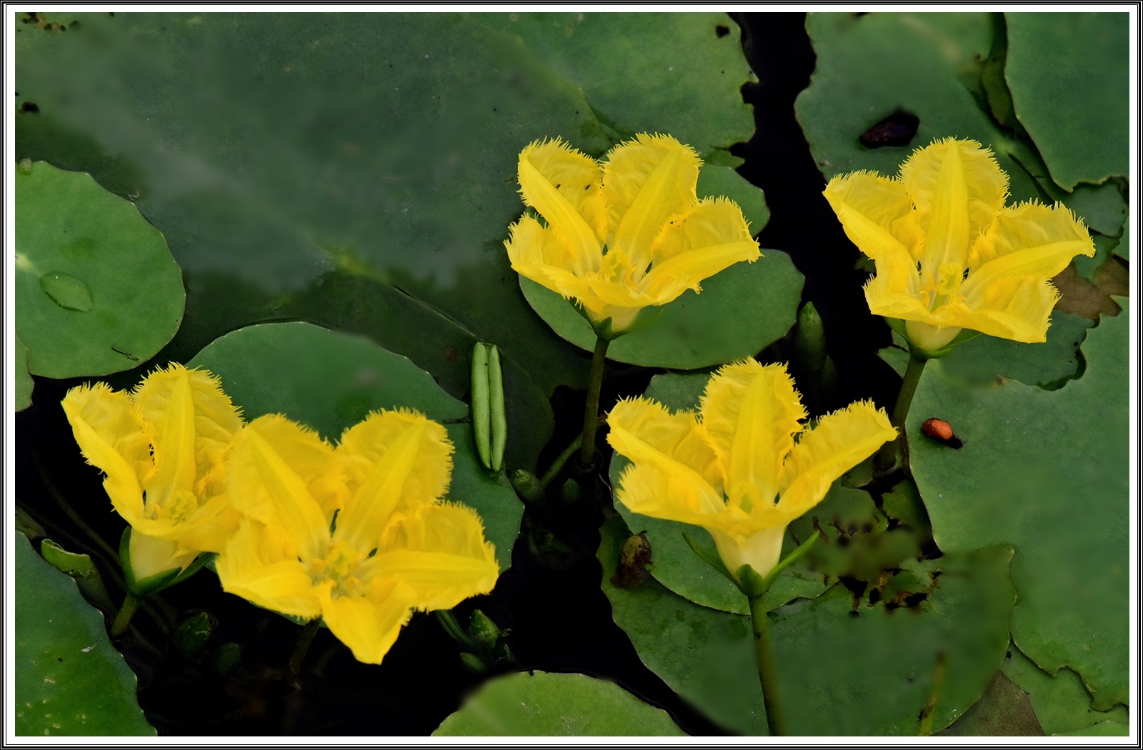 PHOTO BY  | NIKON Z 7_2 | 2024:09:14 11:52:21 | ISO-640 | 1/320 sec | f 8 | 480 mm | EV=-0.3 | ● WIDTH:5408 pixels  HEIGHT:3600 pixels