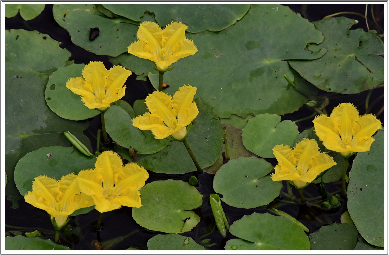 PHOTO BY  | NIKON Z 7_2 | 2024:09:14 11:51:55 | ISO-640 | 1/400 sec | f 8 | 480 mm | EV=-0.3 | ● WIDTH:5408 pixels  HEIGHT:3600 pixels