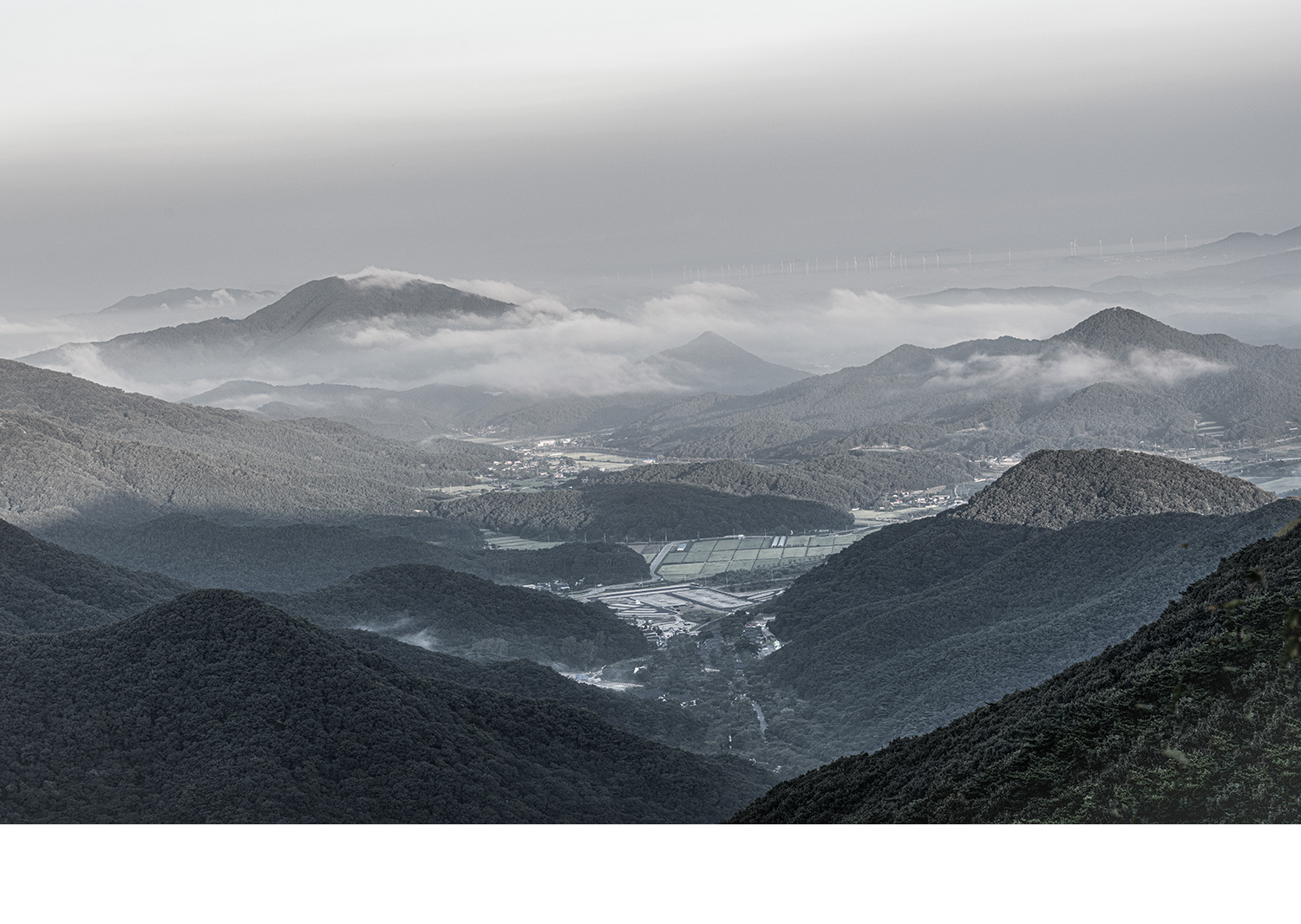 PHOTO BY  | NIKON D850 | 2024:09:15 06:37:30 | ISO-200 | 1/80 sec | f 11 | 70 mm | EV=0 | ● WIDTH:1500 pixels  HEIGHT:1066 pixels