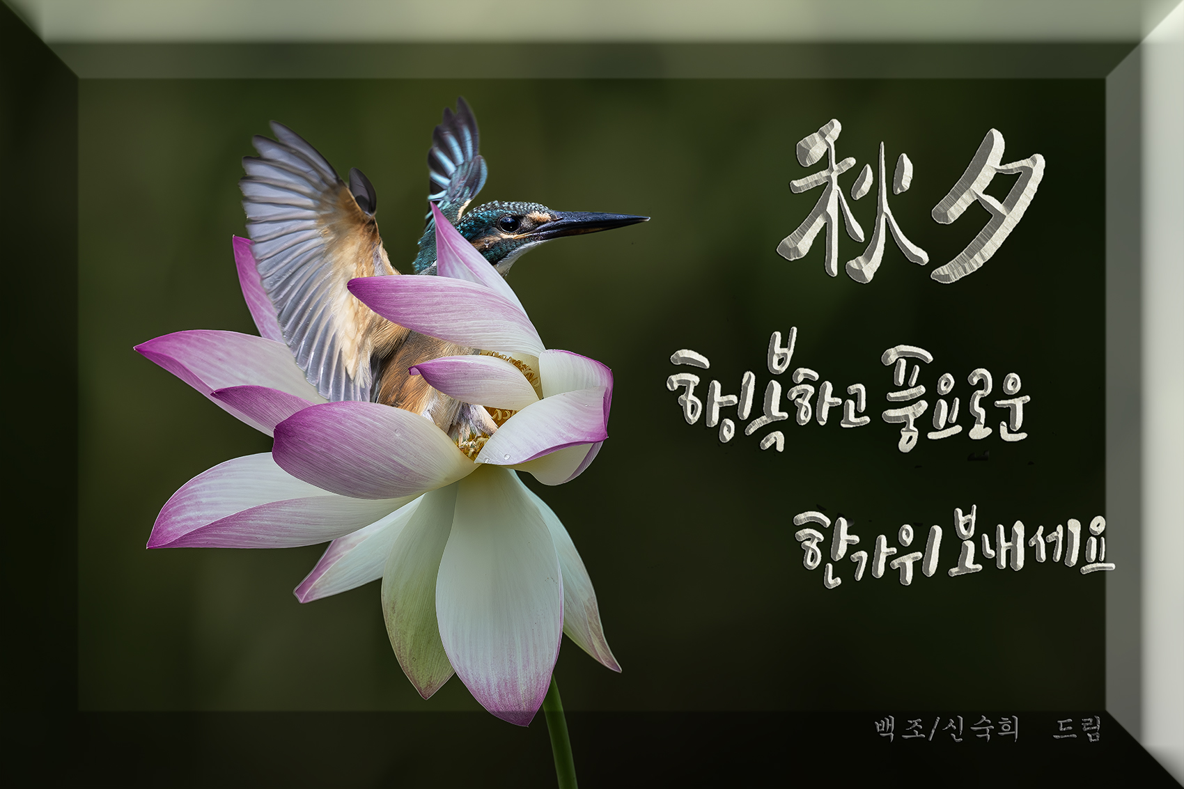 PHOTO BY  | NIKON Z 9 | 2024:09:06 14:48:54 | ISO-800 | 1/6400 sec | f 4.5 | 600 mm | EV=-0.7 | ● WIDTH:1700 pixels  HEIGHT:1133 pixels