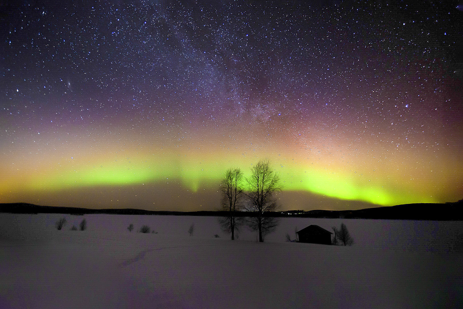 PHOTO BY  | CanonCanon  |  | ISO- |  |  |  | EV=0 | ● WIDTH:  HEIGHT: