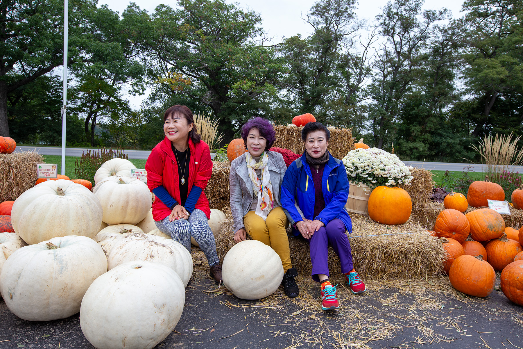 PHOTO BY  | Canon EOS-1D X | 2015:10:06 04:34:56 | ISO-400 | 1/160 sec | f 8 | 27 mm | EV=0.7 | ● WIDTH:1800 pixels  HEIGHT:1200 pixels