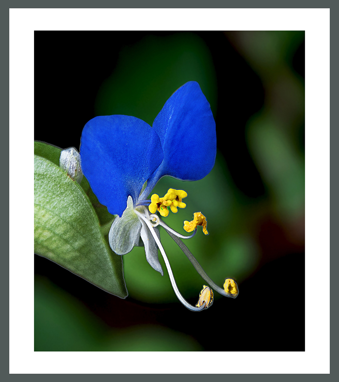 PHOTO BY  | ILCE-6500 | 2024:09:16 07:55:49 | ISO-640 | 1/125 sec | f 8 | 200 mm | EV=0 | ● WIDTH:1154 pixels  HEIGHT:1300 pixels