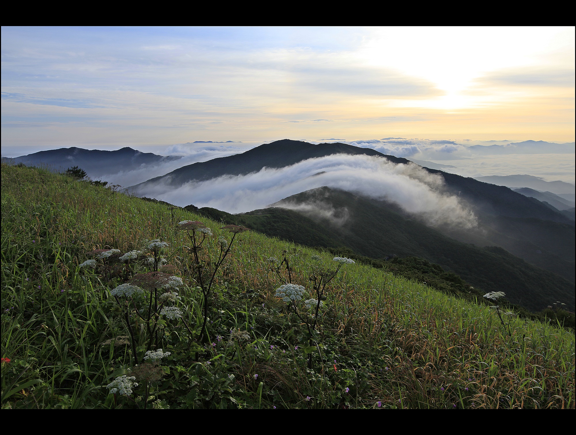 PHOTO BY  | Canon EOS 5D Mark II | 2015:08:09 06:30:53 | ISO-100 | 1/80 sec | f 11 | 24 mm | EV=-0.7 | ● WIDTH:5616 pixels  HEIGHT:3744 pixels