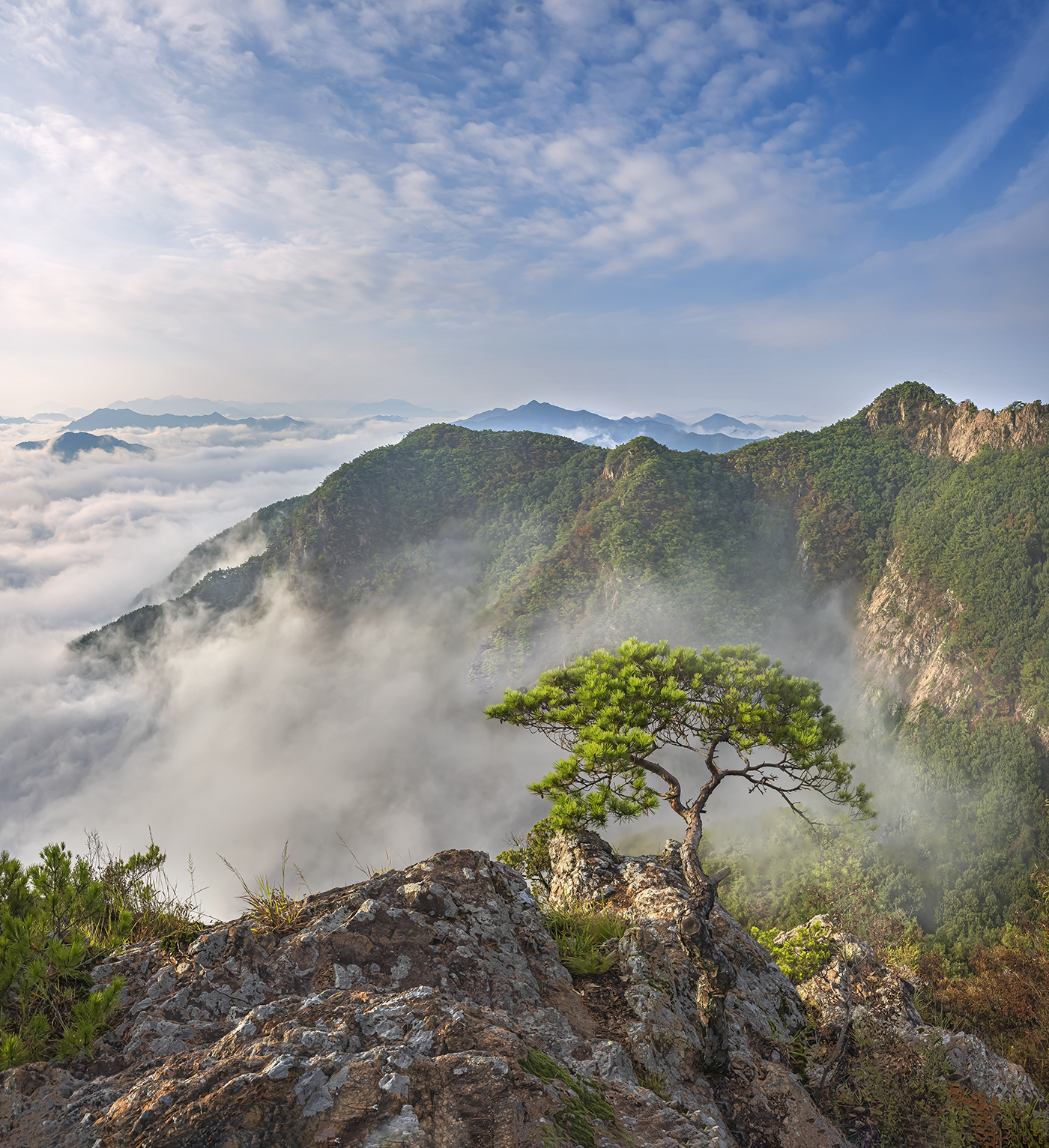 PHOTO BY  | NIKON Z 7_2 | 2024:09:13 07:39:24 | ISO-100 | 1/160 sec | f 11 | 14 mm | EV=0 | ● WIDTH:1400 pixels  HEIGHT:1532 pixels