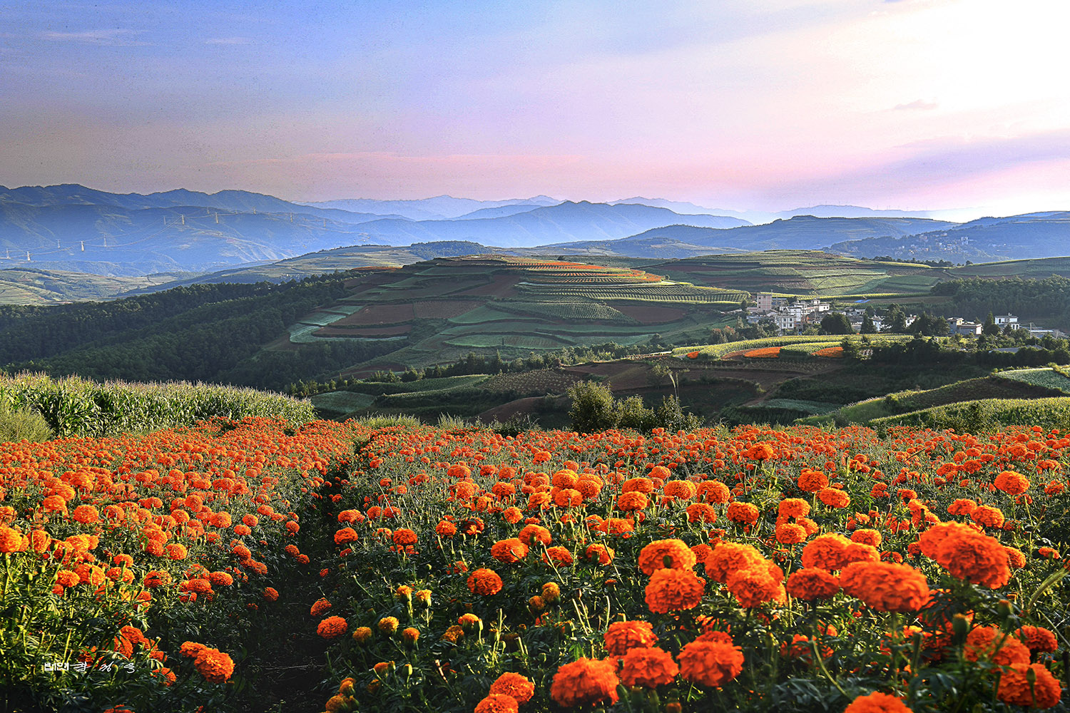 PHOTO BY  | NIKON D850 | 2024:08:28 19:34:33 | ISO-100 | 1/100 sec | f 13 | 48 mm | EV=0.3 | ● WIDTH:1500 pixels  HEIGHT:1000 pixels