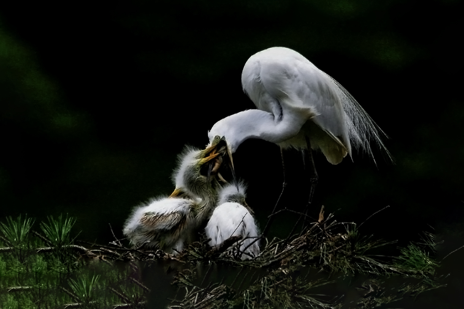 PHOTO BY  | CanonCanon  |  | ISO- |  |  |  | EV=0 | ● WIDTH:  HEIGHT: