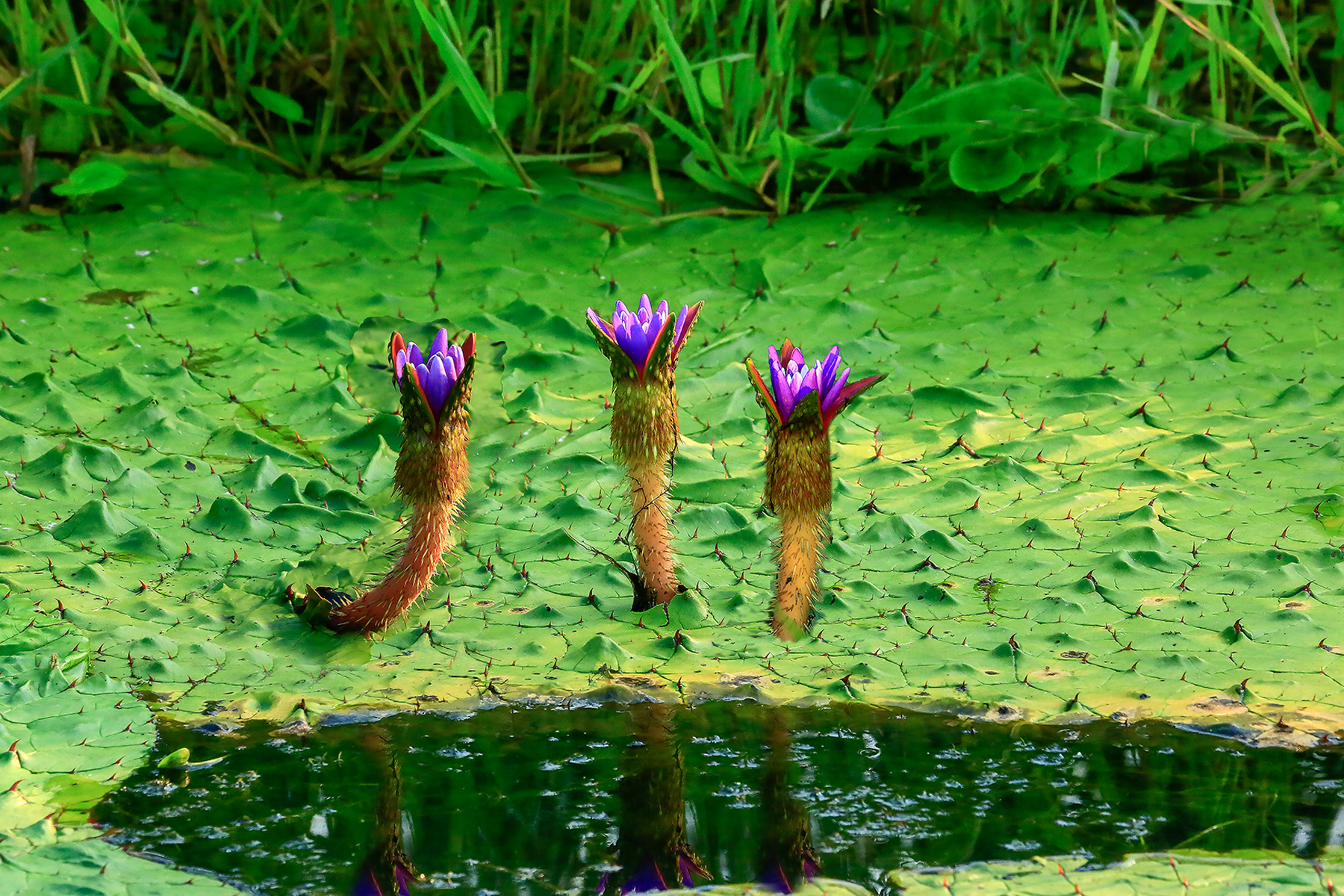 PHOTO BY ChoiJunqSeop | Canon EOS-1D X Mark II | 2024:09:15 10:29:59 | ISO-800 | 1/1600 sec | f 6.3 | 180 mm | EV=0 | ● WIDTH:1800 pixels  HEIGHT:1200 pixels