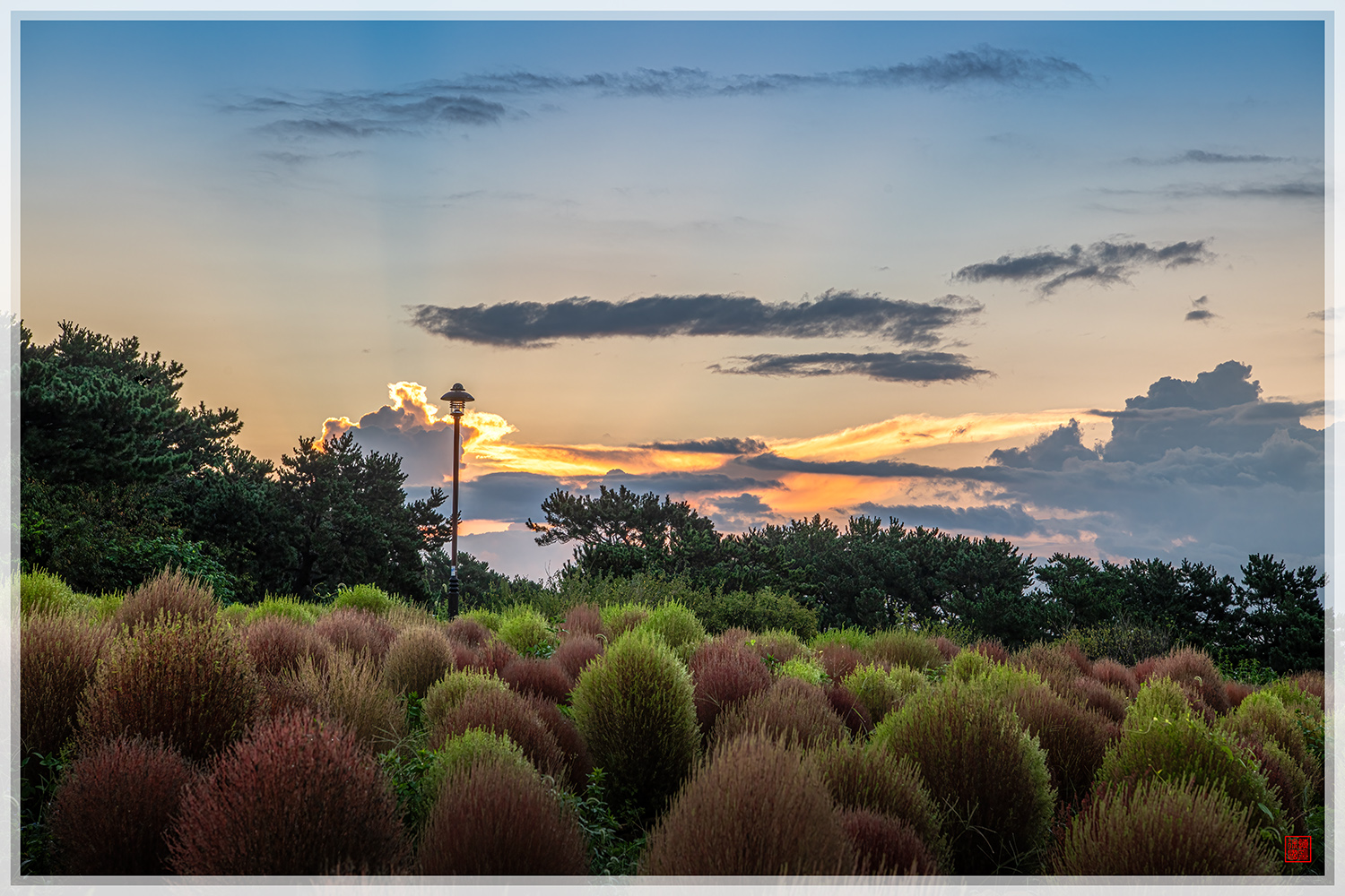 PHOTO BY  | NIKON D850 | 2024:09:18 05:53:21 | ISO-100 | 1/30 sec | f 11 | 70 mm | EV=-1.7 | ● WIDTH:1500 pixels  HEIGHT:1000 pixels