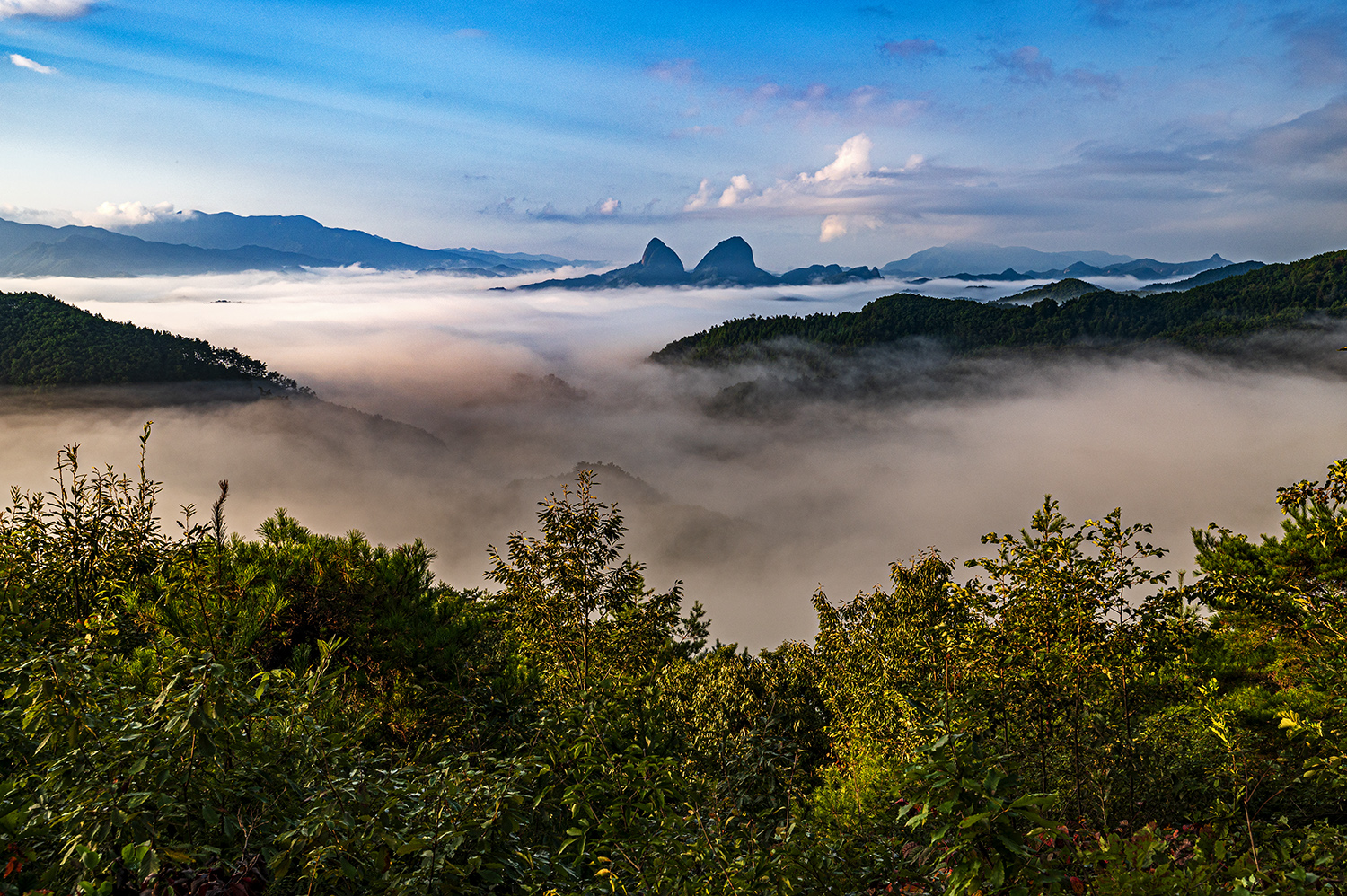 PHOTO BY  | NIKON Z 6_2 | 2024:09:18 07:11:34 | ISO-200 | 1/125 sec | f 11 | 37 mm | EV=-0.3 | ● WIDTH:1500 pixels  HEIGHT:998 pixels