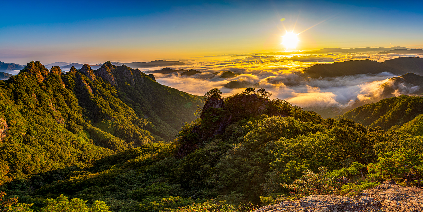 PHOTO BY  | Canon EOS 5D Mark IV | 2024:09:15 06:44:23 | ISO-100 | 1/50 sec | f 14 | 24 mm | EV=0 | ● WIDTH:1600 pixels  HEIGHT:802 pixels