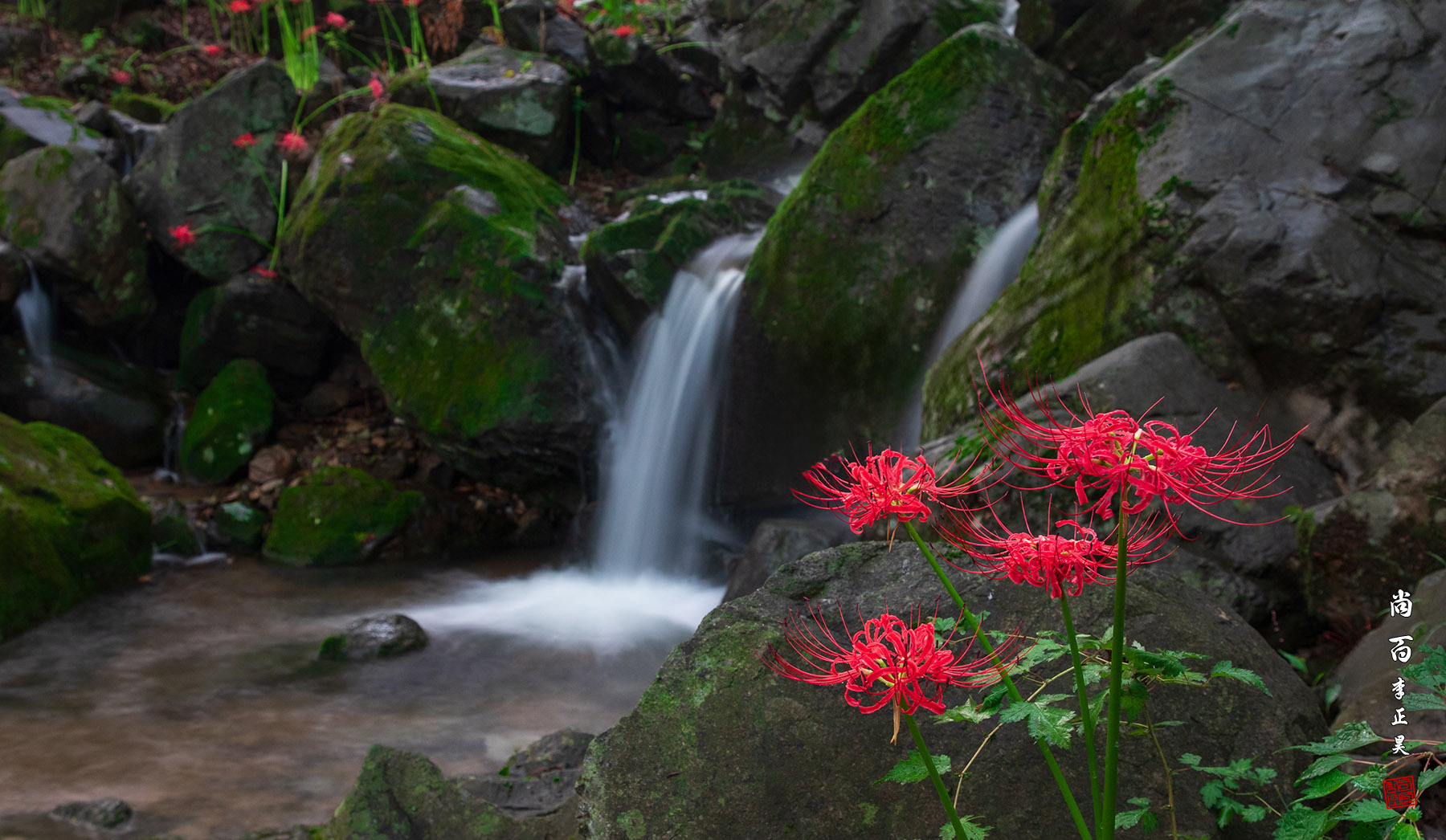 PHOTO BY  | Canon EOS 5D Mark IV | 2023:09:16 06:14:23 | ISO-1000 | 16/10 sec | f 9 | 42 mm | EV=0 | ● WIDTH:1800 pixels  HEIGHT:1046 pixels