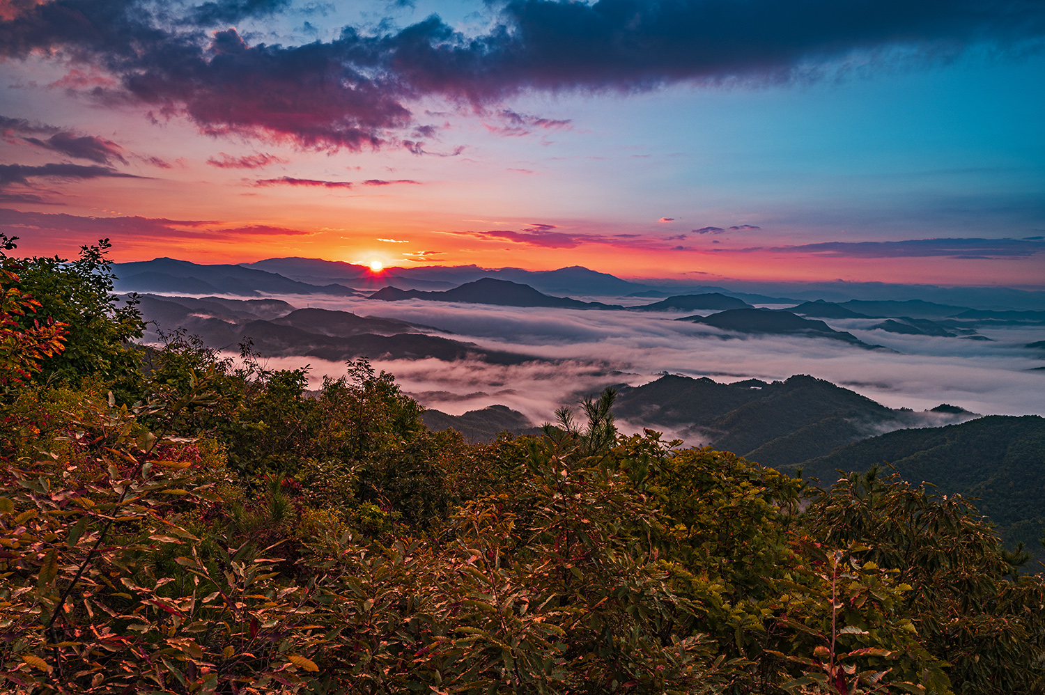 PHOTO BY  | NIKON Z 6_2 | 2024:09:18 06:23:48 | ISO-200 | 1/60 sec | f 10 | 23 mm | EV=-0.7 | ● WIDTH:1500 pixels  HEIGHT:998 pixels