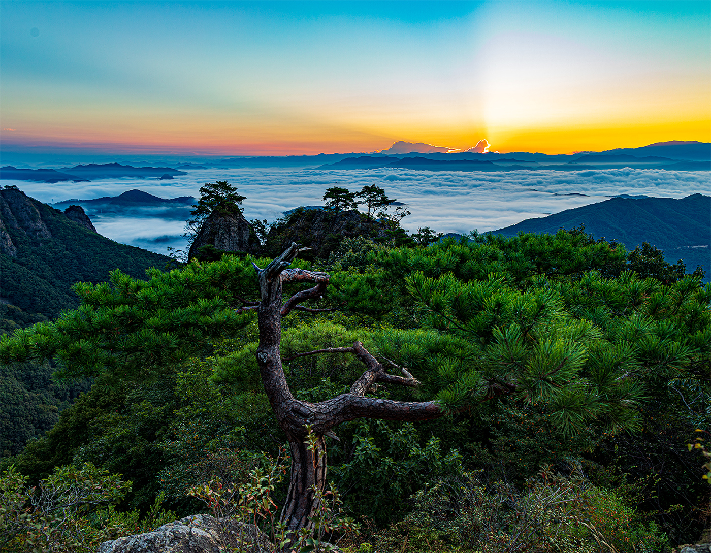 PHOTO BY  | Canon EOS 5D Mark IV | 2024:09:15 06:17:13 | ISO-100 | 1/25 sec | f 6.3 | 24 mm | EV=0 | ● WIDTH:1400 pixels  HEIGHT:1089 pixels