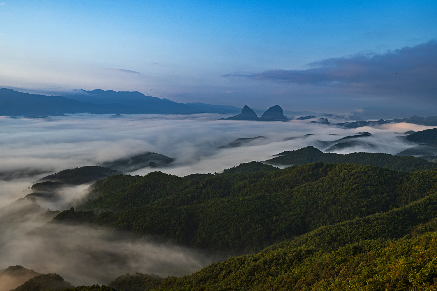 PHOTO BY  | NIKON Z 6_2 | 2024:09:18 06:46:47 | ISO-200 | 1/80 sec | f 11 | 41 mm | EV=-0.3 | ● WIDTH:1500 pixels  HEIGHT:998 pixels