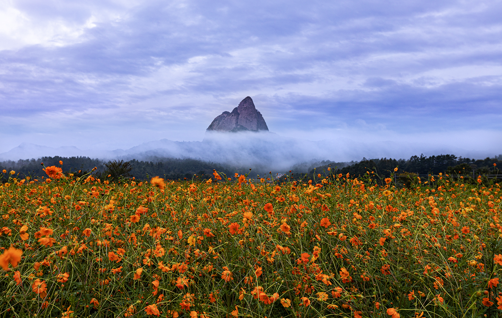 PHOTO BY JHG | Canon EOS 5D Mark IV | 2024:09:20 06:06:50 | ISO-200 | 1/1 sec | f 8 | 35 mm | EV=0 | ● WIDTH:1700 pixels  HEIGHT:1076 pixels