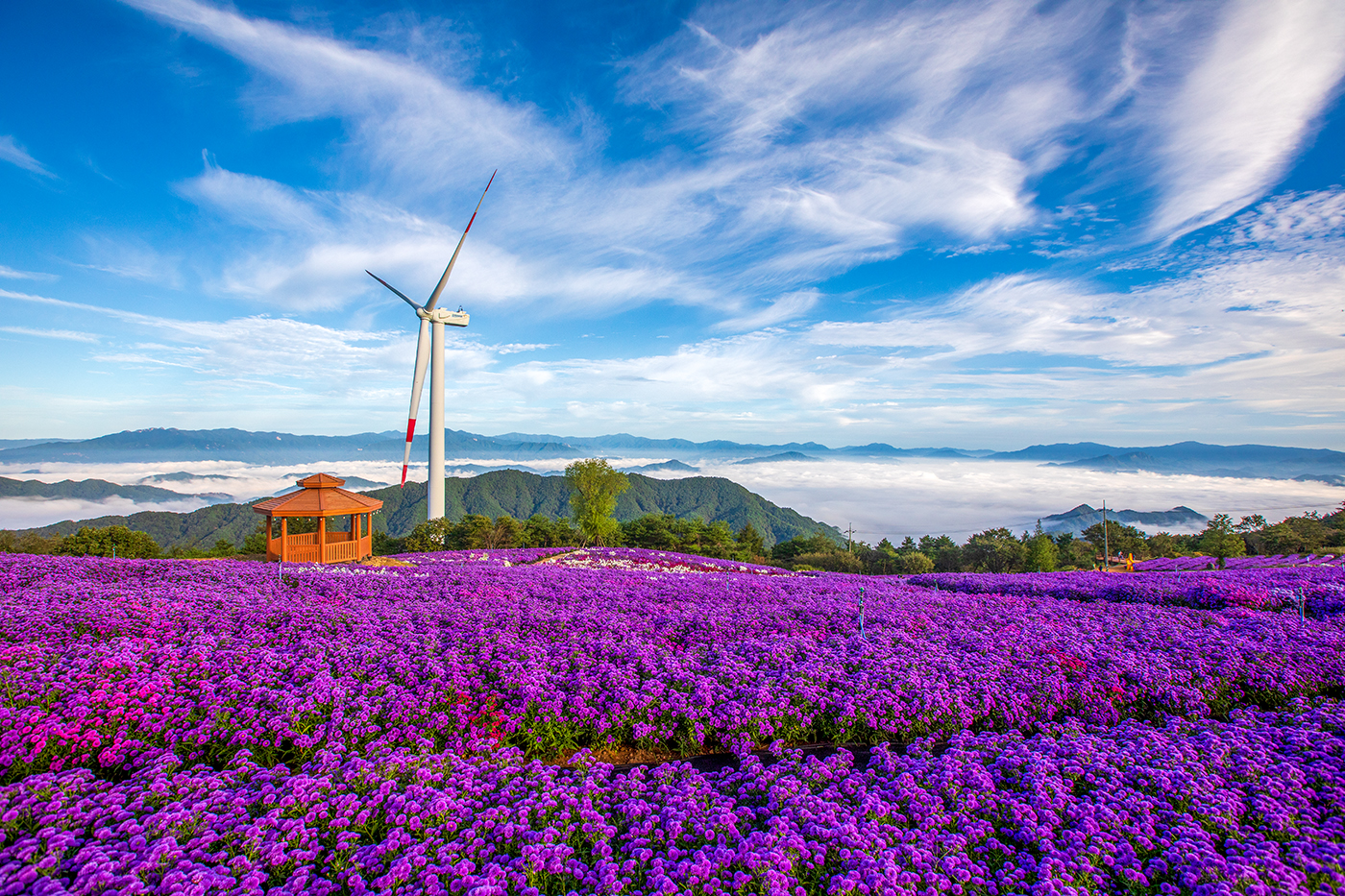 PHOTO BY  | Canon EOS 5D Mark IV | 2024:09:19 07:37:14 | ISO-320 | 1/800 sec | f 8 | 16 mm | EV=0 | ● WIDTH:1400 pixels  HEIGHT:933 pixels