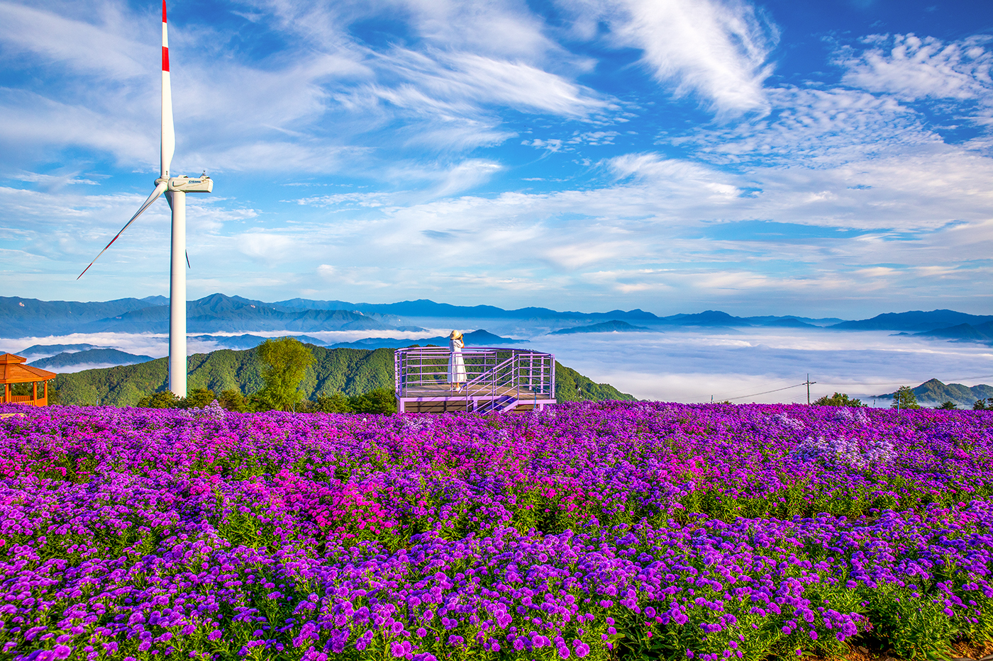 PHOTO BY  | Canon EOS 5D Mark IV | 2024:09:19 07:25:33 | ISO-320 | 1/800 sec | f 8 | 25 mm | EV=0 | ● WIDTH:1400 pixels  HEIGHT:933 pixels