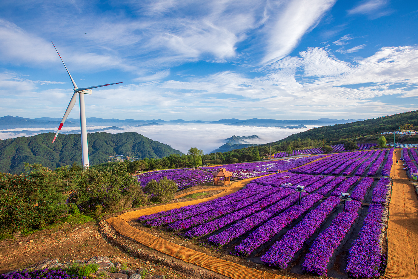 PHOTO BY  | Canon EOS 5D Mark IV | 2024:09:19 07:39:23 | ISO-320 | 1/320 sec | f 10 | 16 mm | EV=0 | ● WIDTH:1400 pixels  HEIGHT:933 pixels