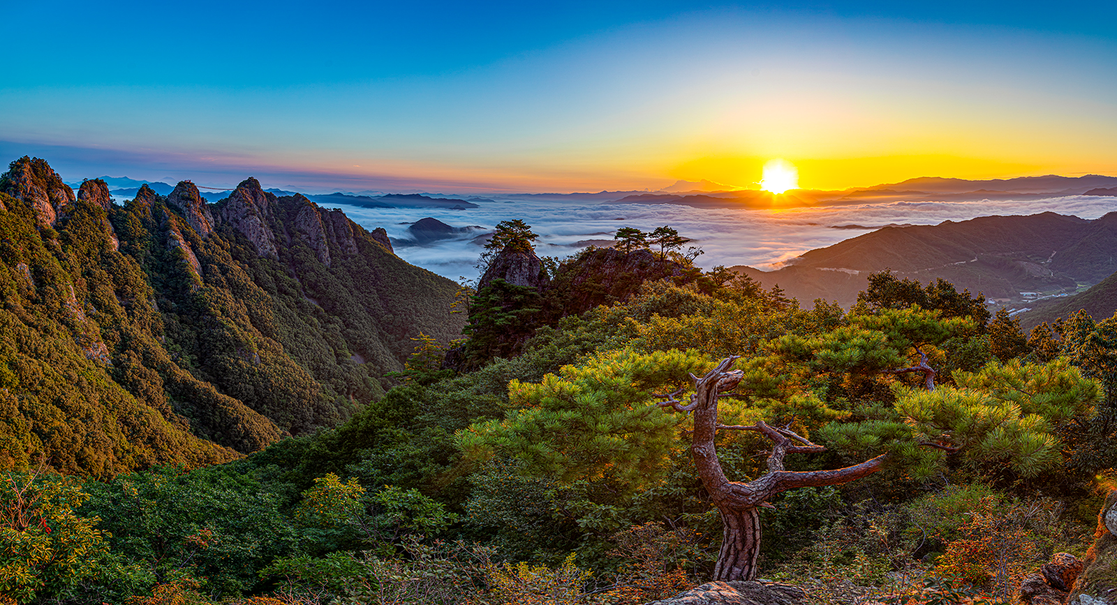 PHOTO BY  | Canon EOS 5D Mark IV | 2024:09:15 06:23:10 | ISO-100 | 1/100 sec | f 5.6 | 24 mm | EV=0 | ● WIDTH:1600 pixels  HEIGHT:867 pixels