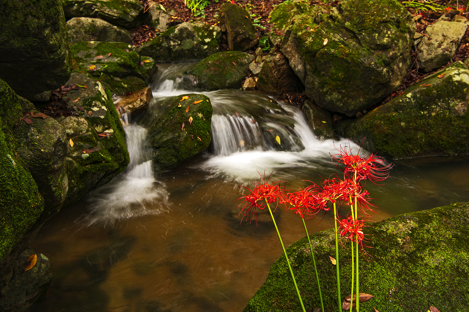 PHOTO BY  | NIKON D850 | 2024:09:22 10:43:43 | ISO-64 | 4/10 sec | f 9 | 34 mm | EV=-0.3 | ● WIDTH:1500 pixels  HEIGHT:1000 pixels