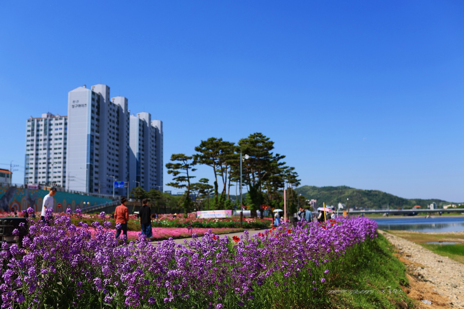 영천 생태공원에서 ...